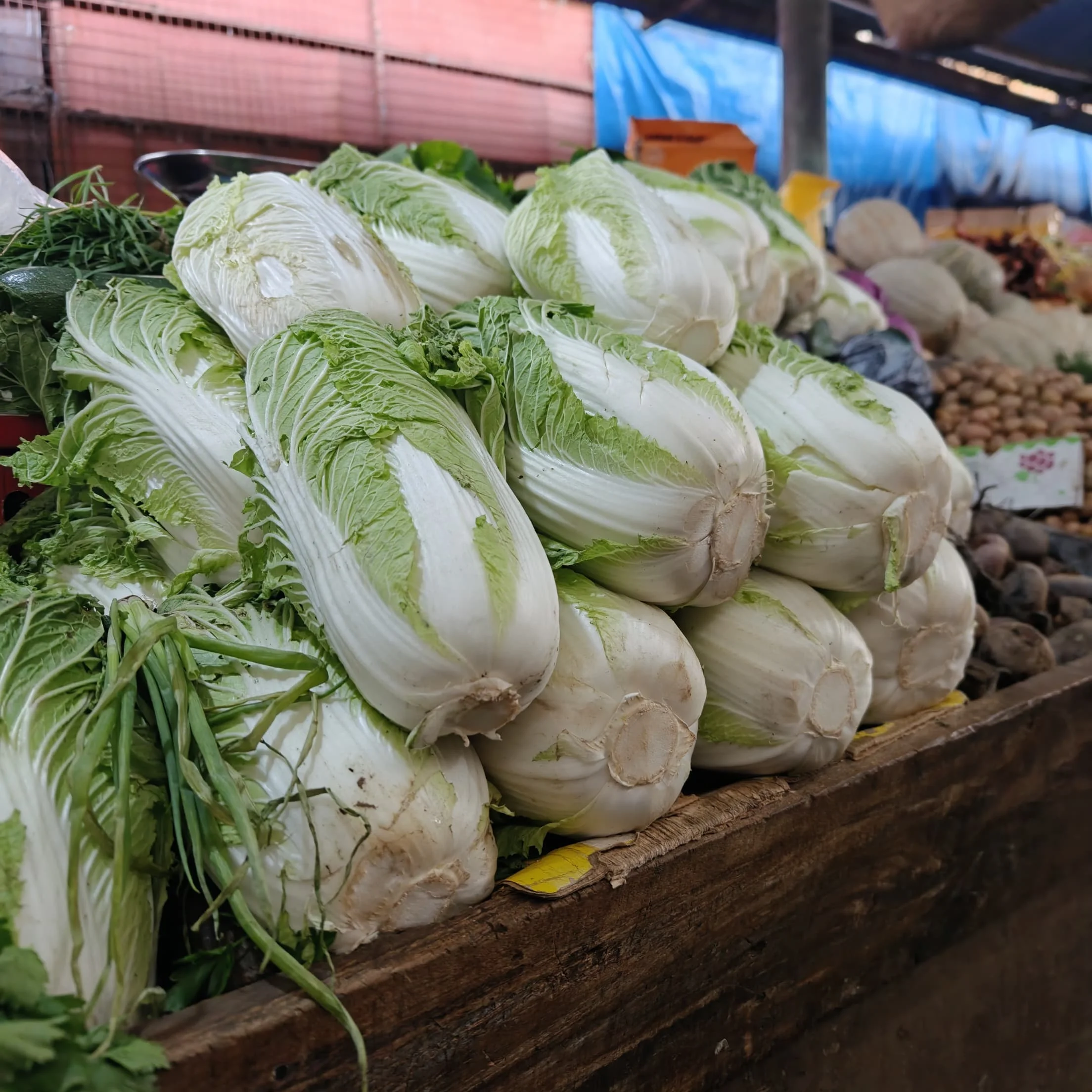 Stacked heads of fresh Chinese cabbage arranged neatly on a wooden display at a produce stall in Arusha Central Market.