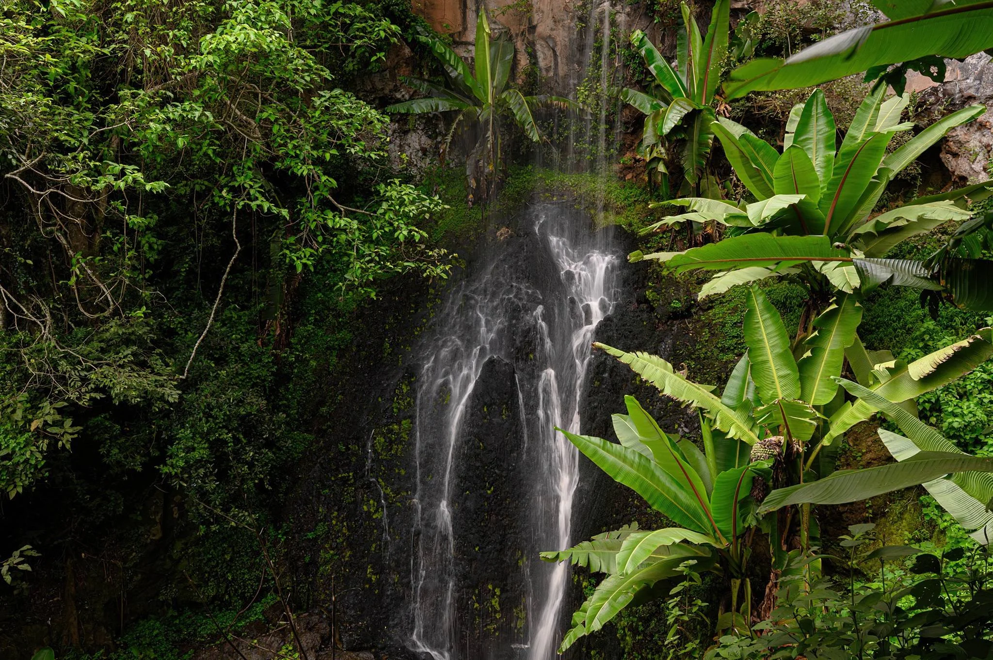 Ngorongoro Northern Highland Forest Reserve – photo 8