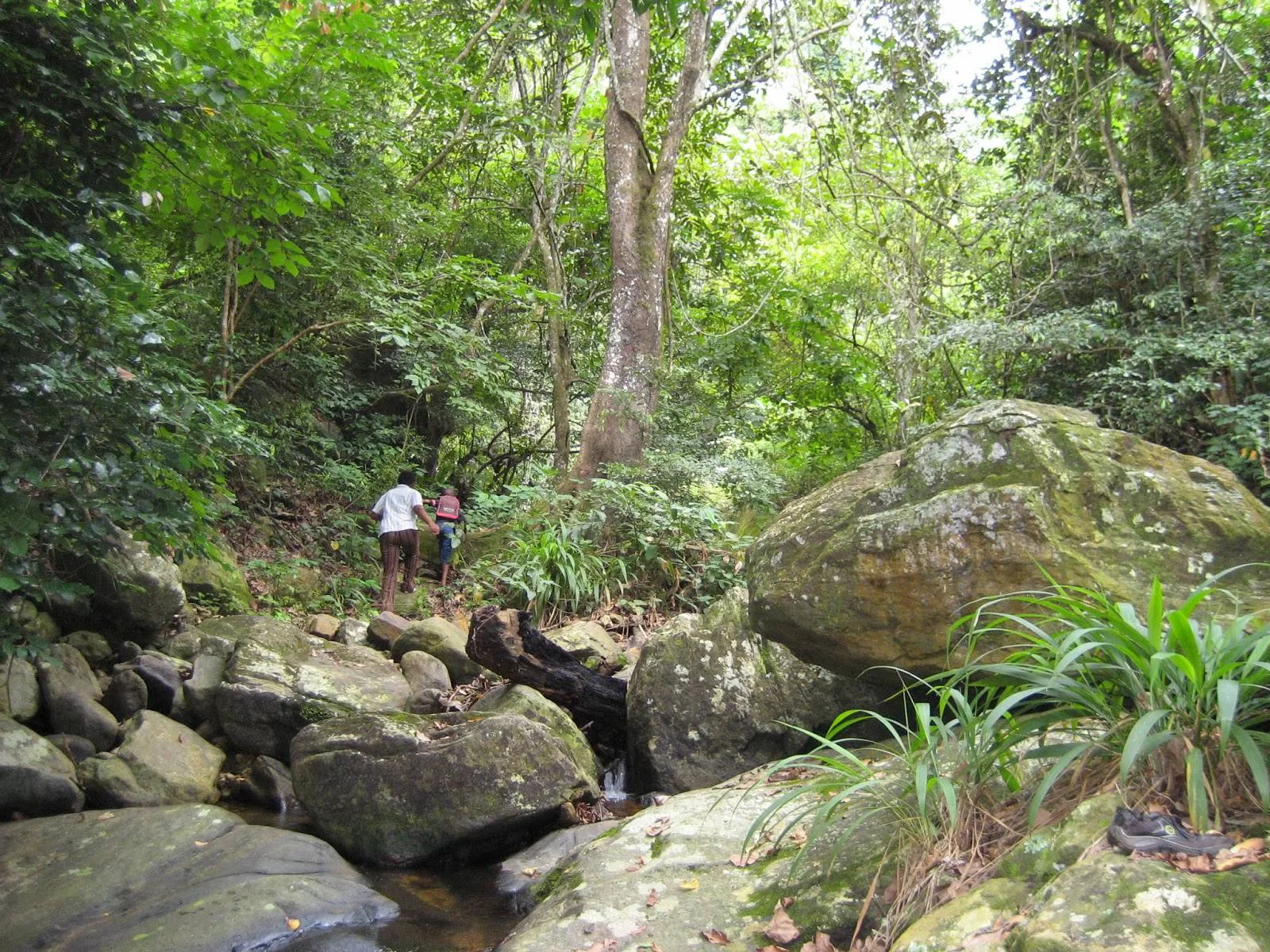Uluguru Mountains – photo 29