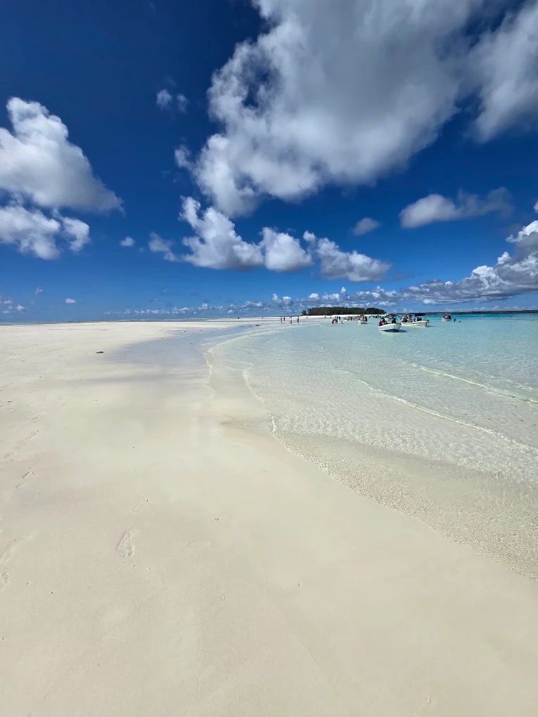 Mnemba Island Conservation Area – photo 4