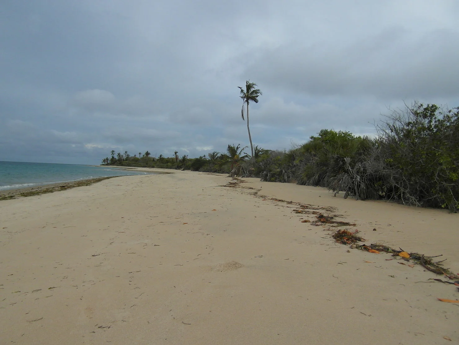 Mnazi Bay - Ruvuma Estuary Marine Park – photo 7