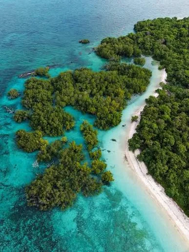 Pemba Island – photo 3
