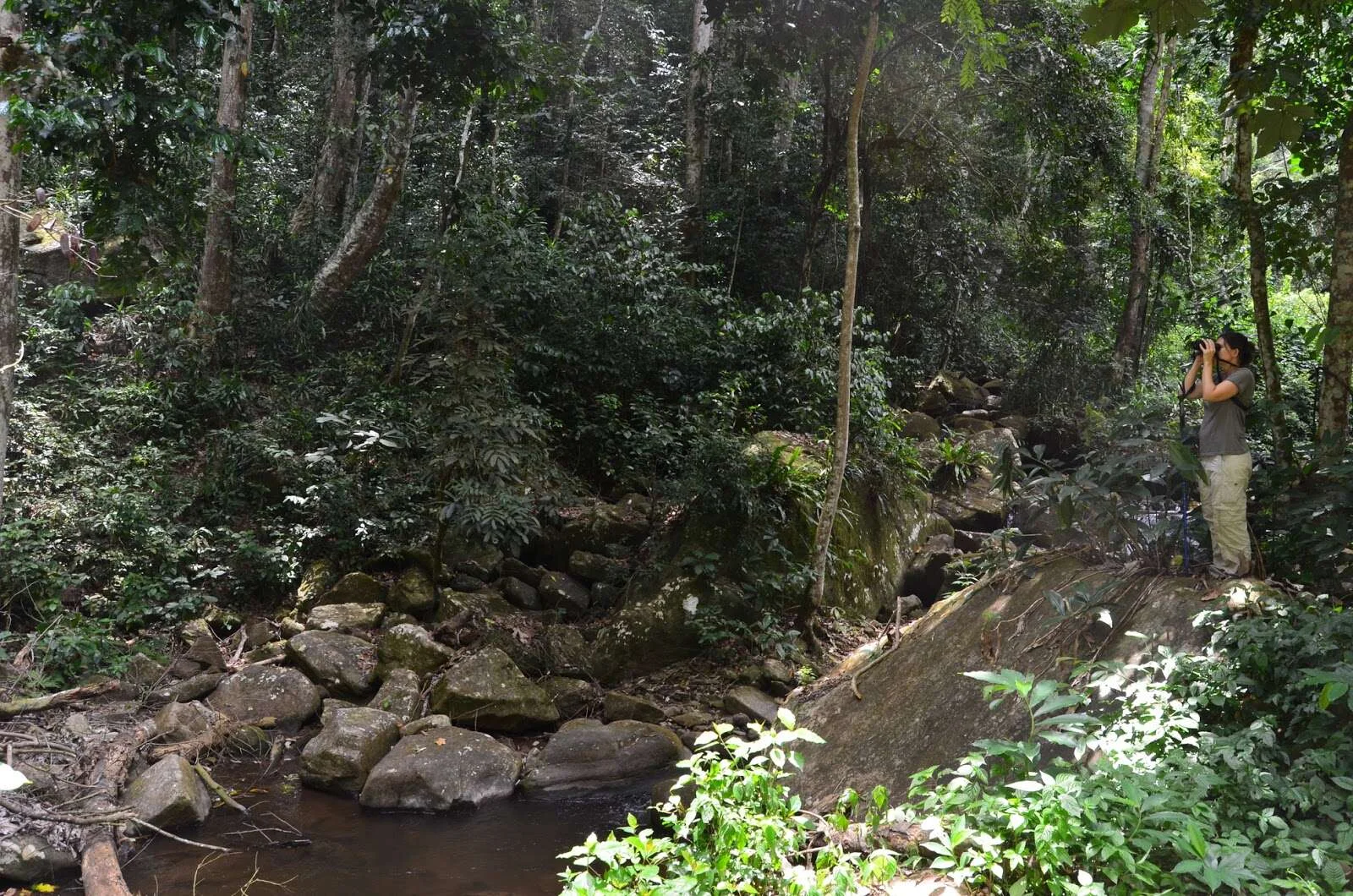 Amani Nature Forest Reserves – photo 13