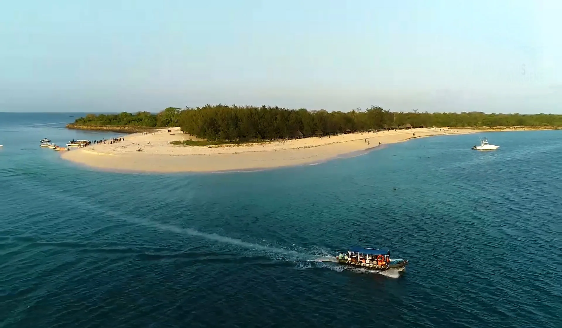 Mbudya Island Marine Reserve – photo 23
