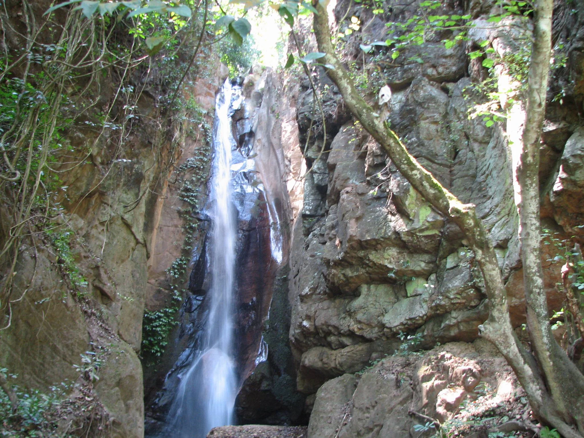 Gombe Stream National Park – photo 14