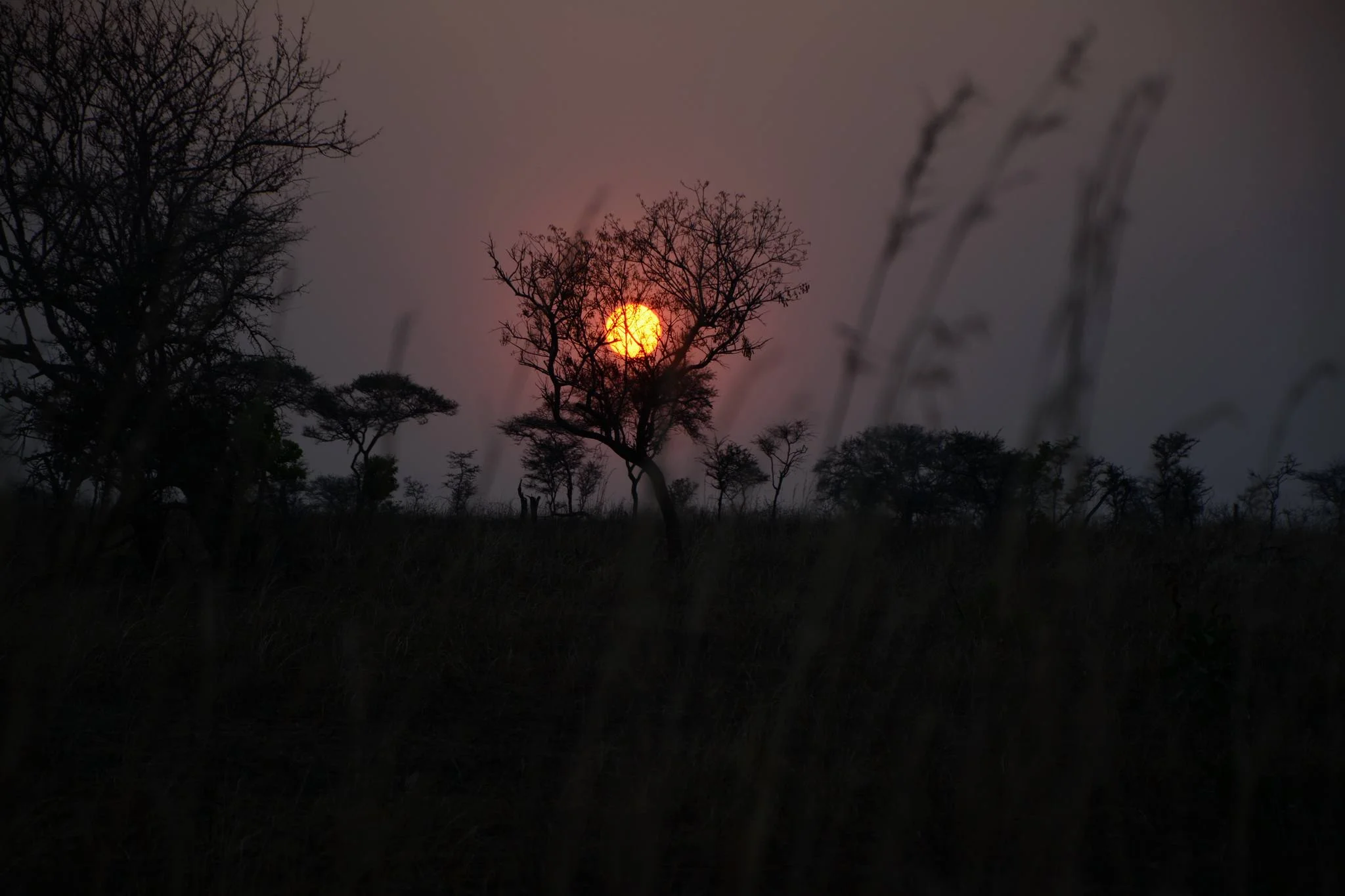 Katavi National Park – photo 11