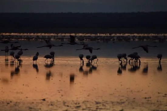 Lake Burunge – photo 11