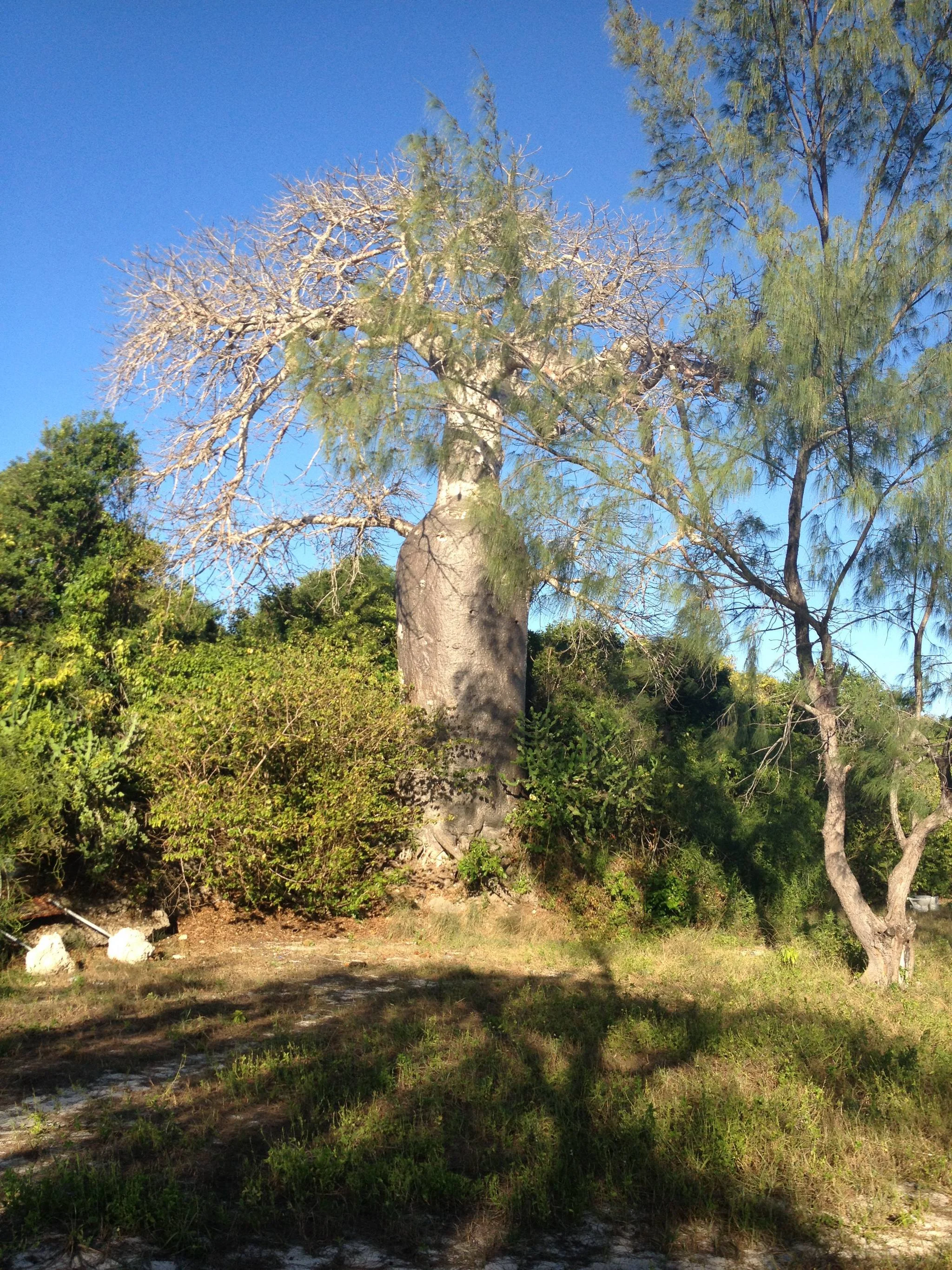 Sinda Island Marine Reserve – photo 21