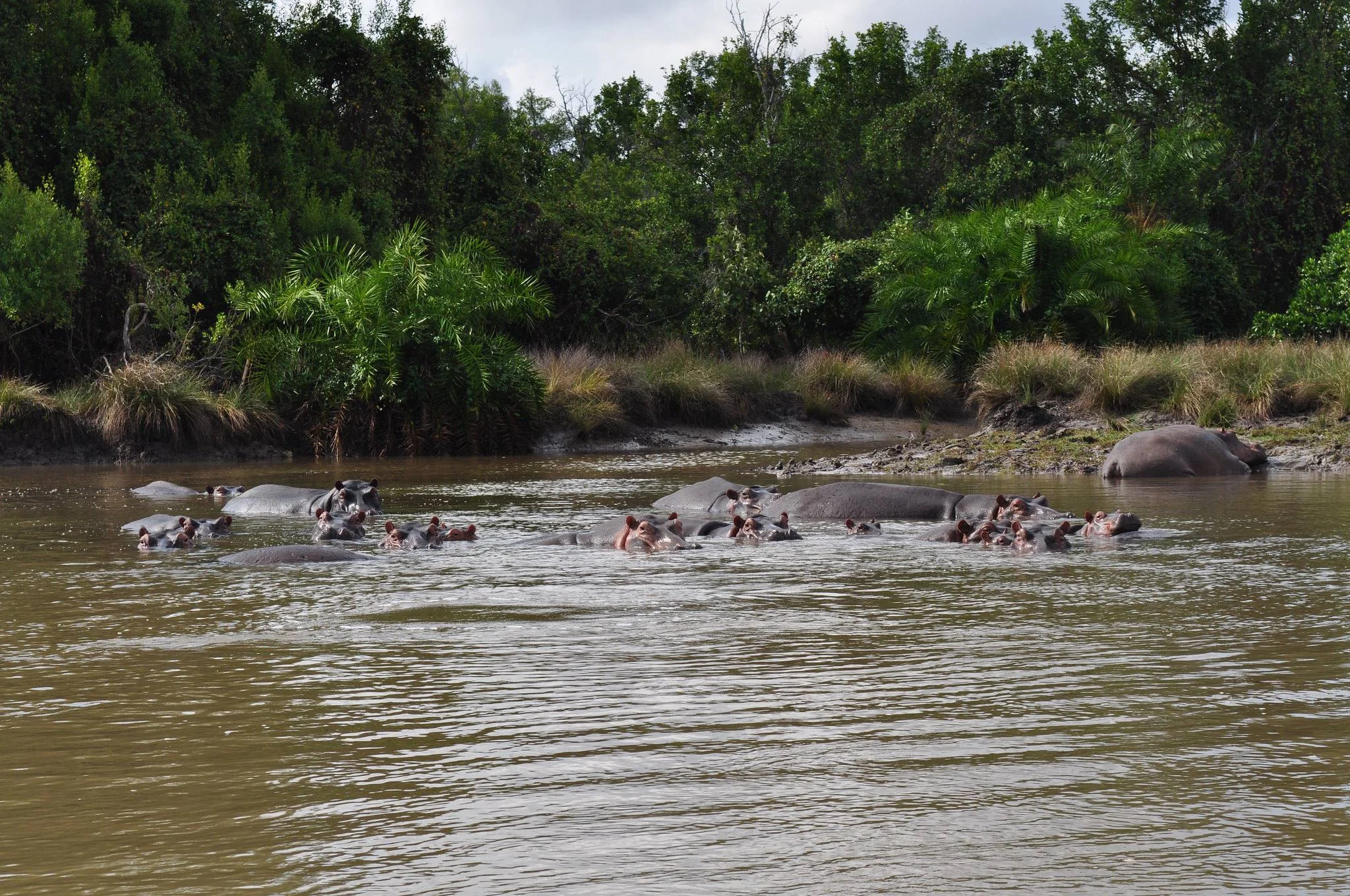 Saadani National Park – photo 36