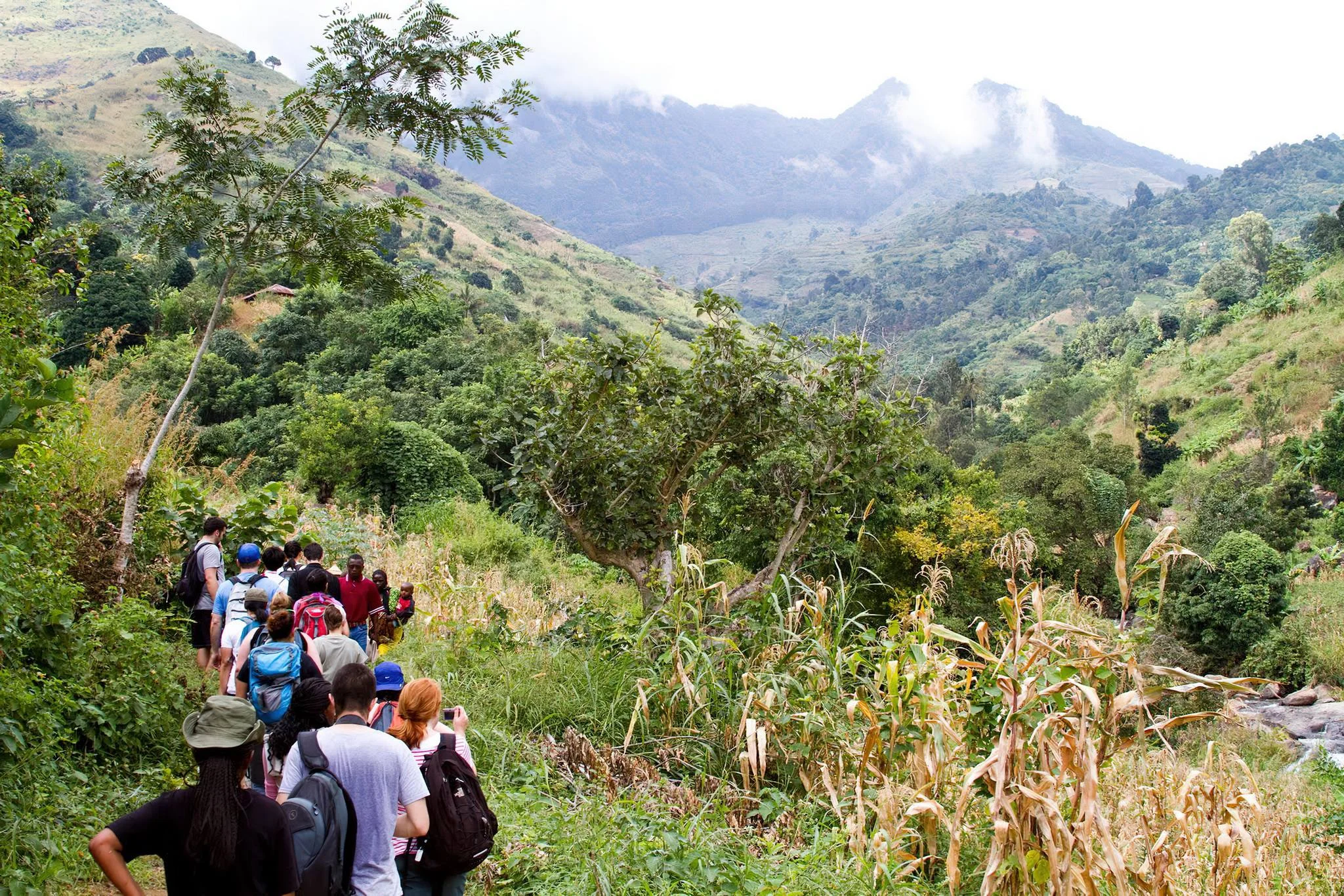 Uluguru Mountains – photo 38