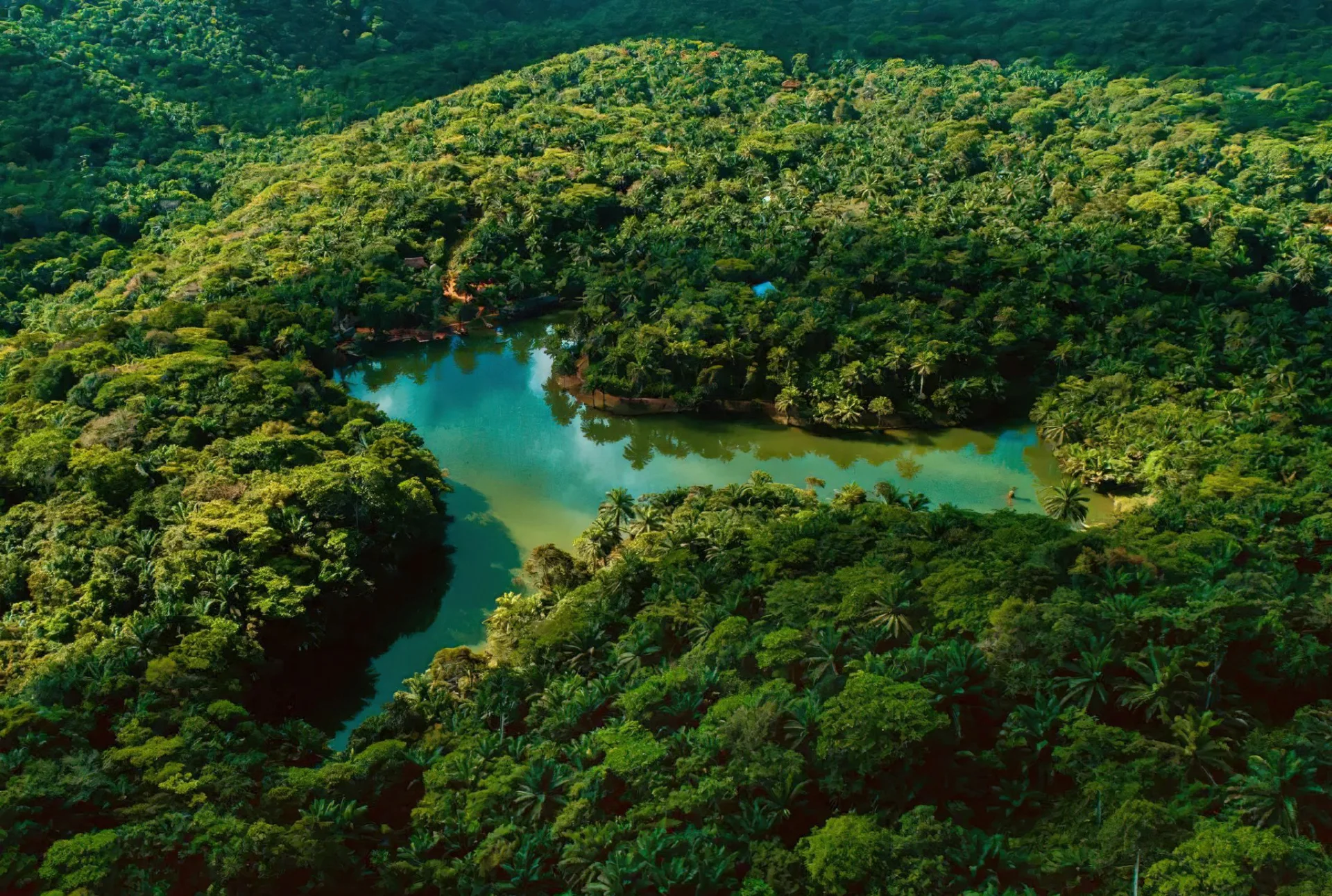 Aerial drone view of an emerald-green lake surrounded by dense tropical rainforest.