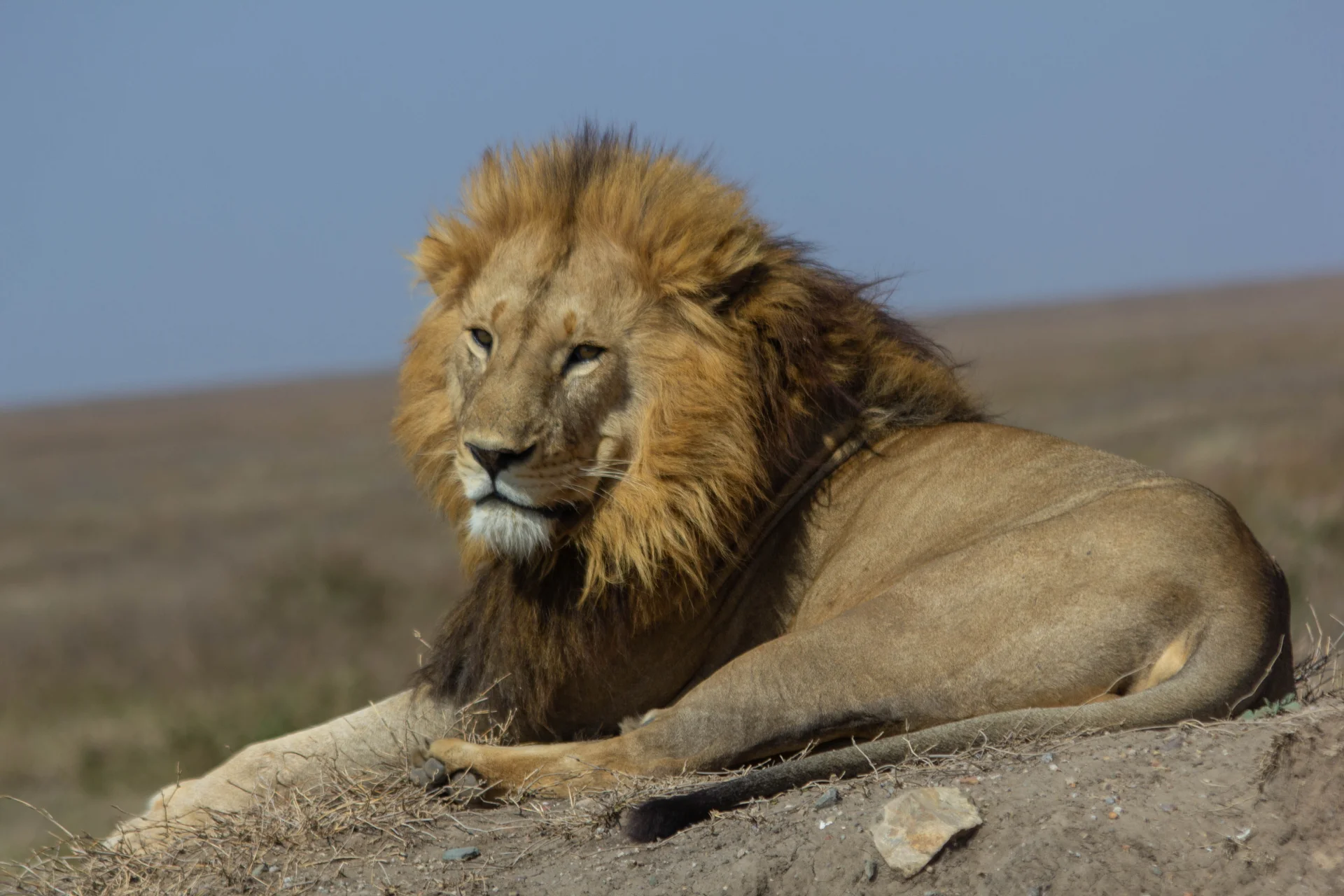 Western Serengeti – photo 4