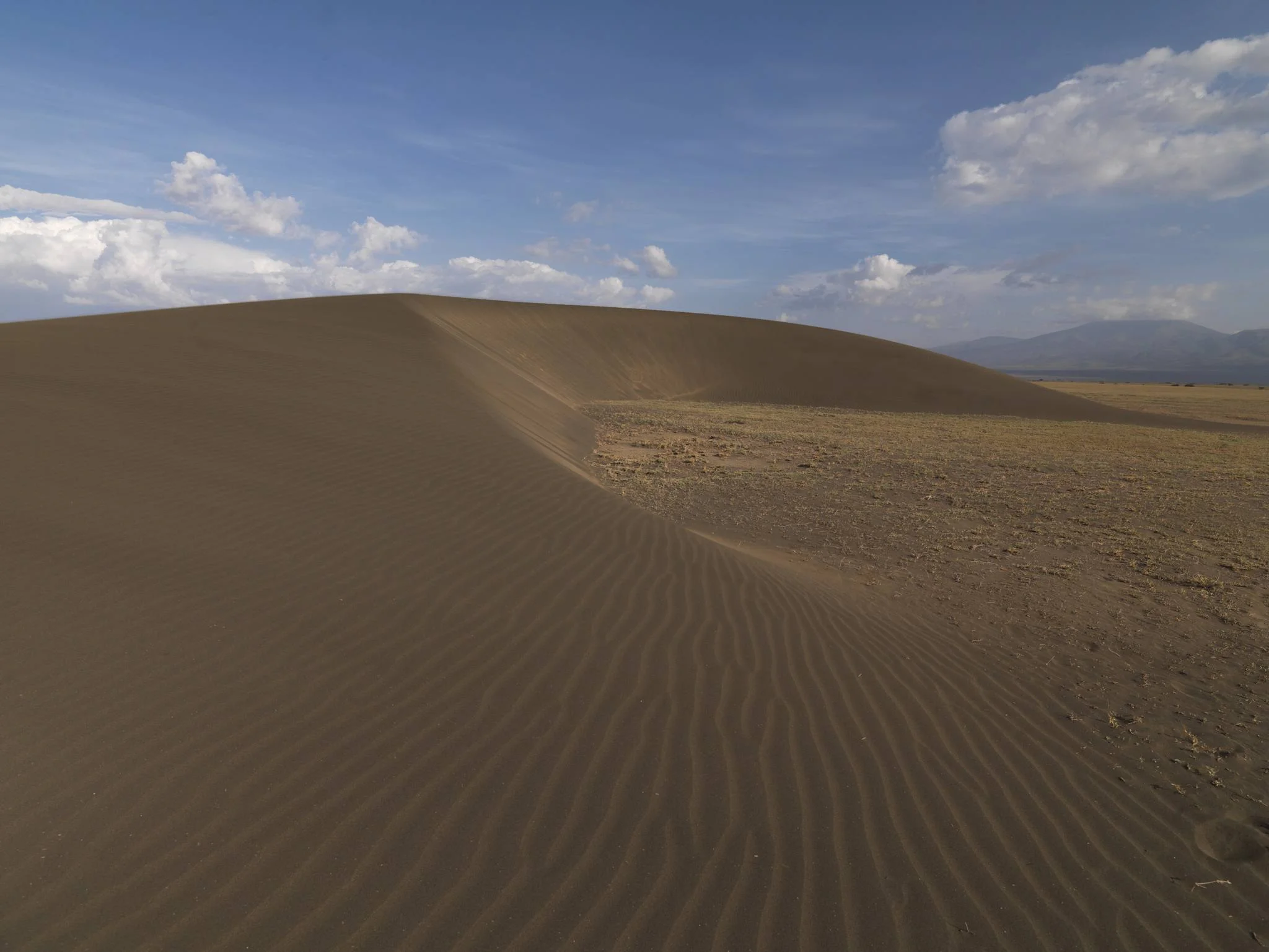 Shifting Sands – photo 5