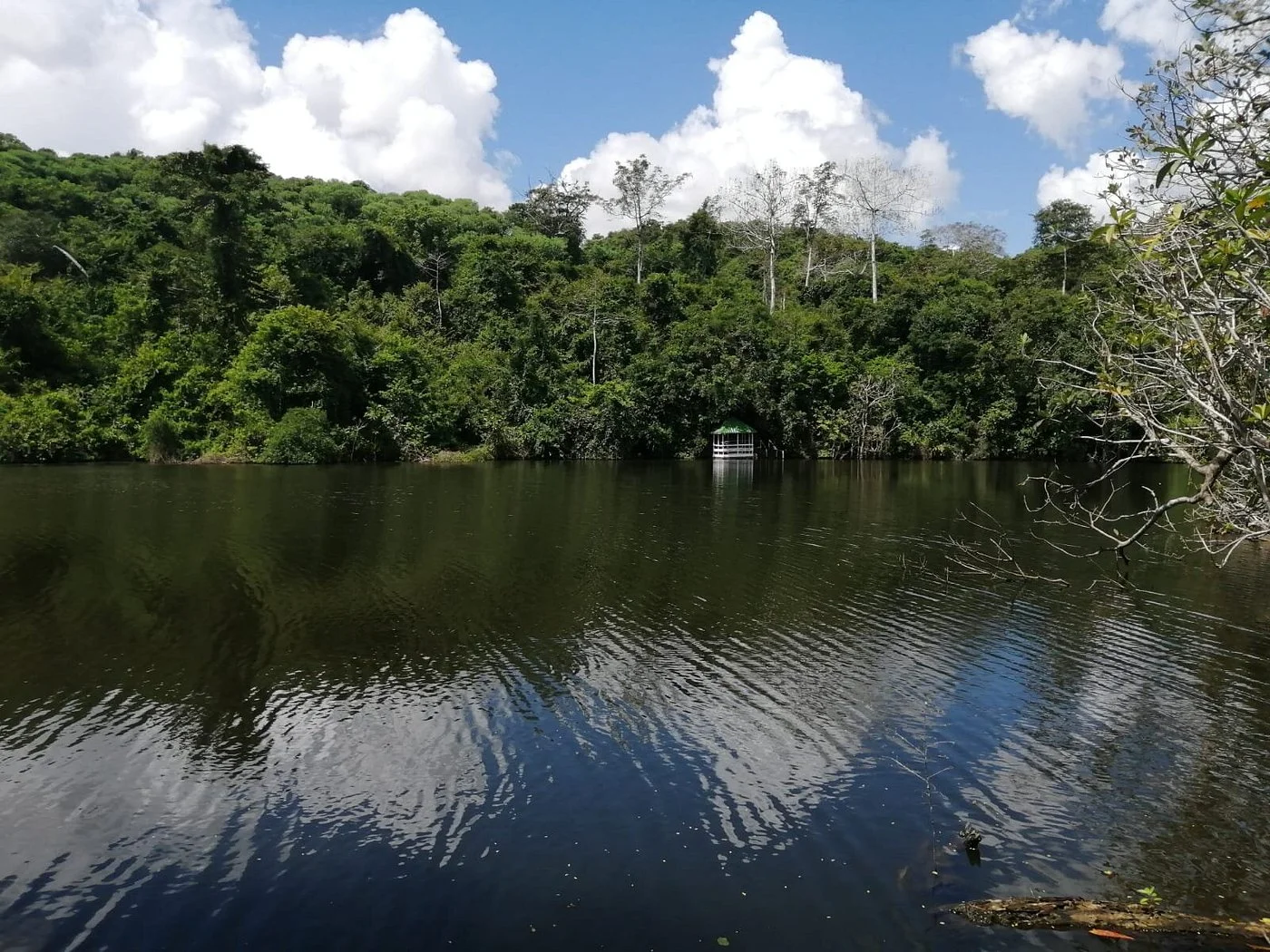 Pugu Kazimzumbwi Nature Forest Reserve – photo 31
