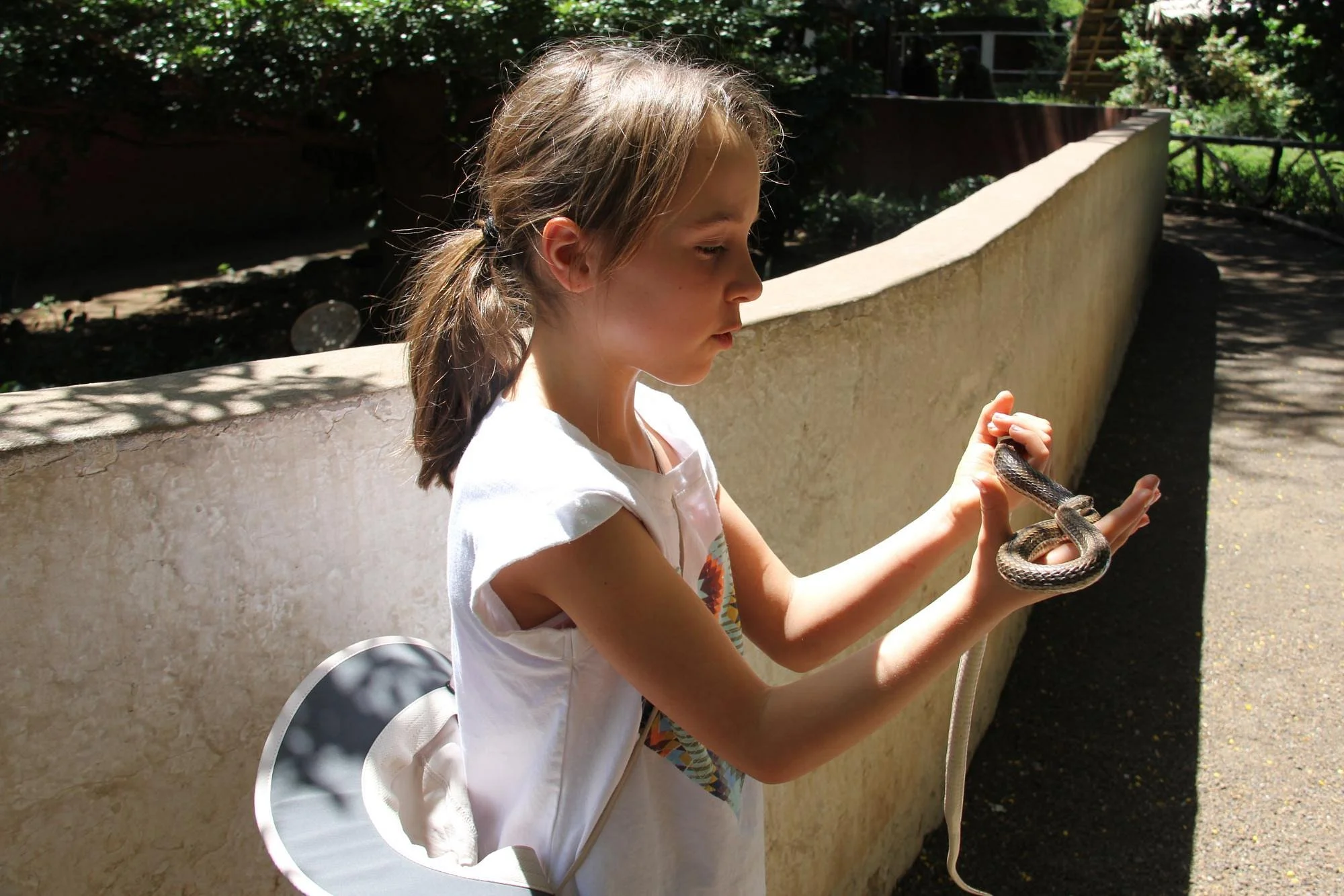 Arusha Snake Park – photo 27