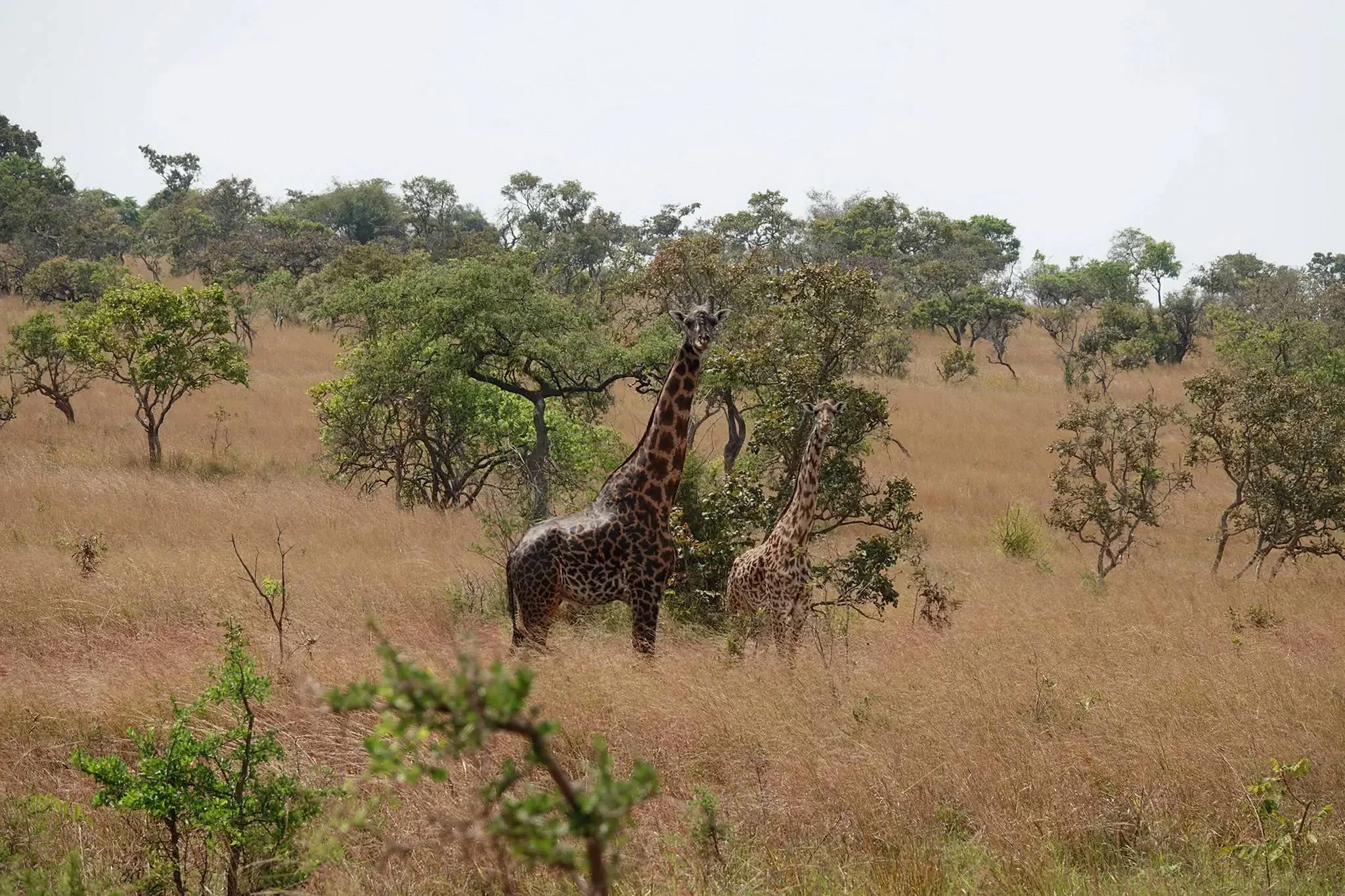 Burigi-Chato National Park – photo 17