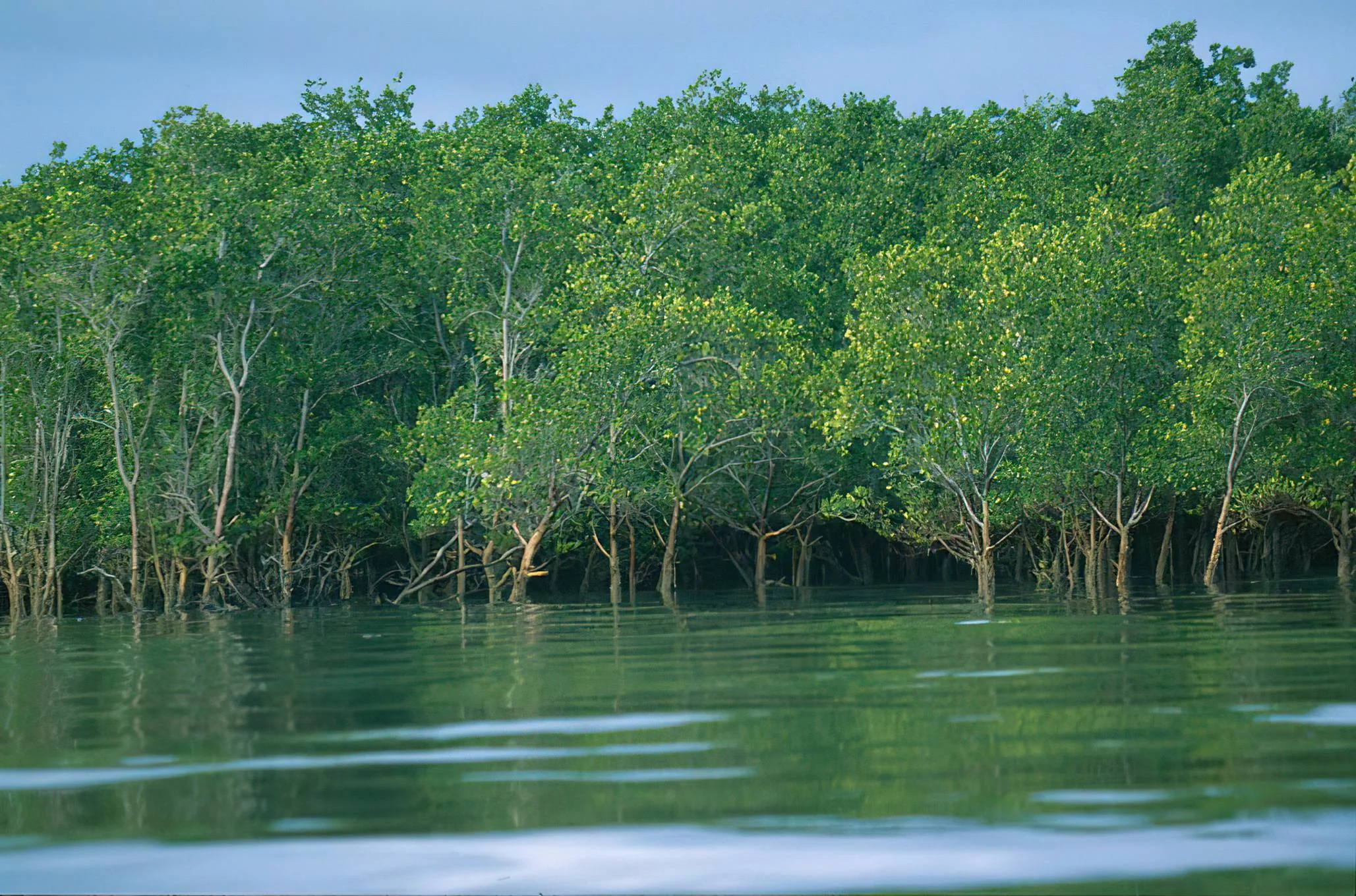 Saadani National Park – photo 31