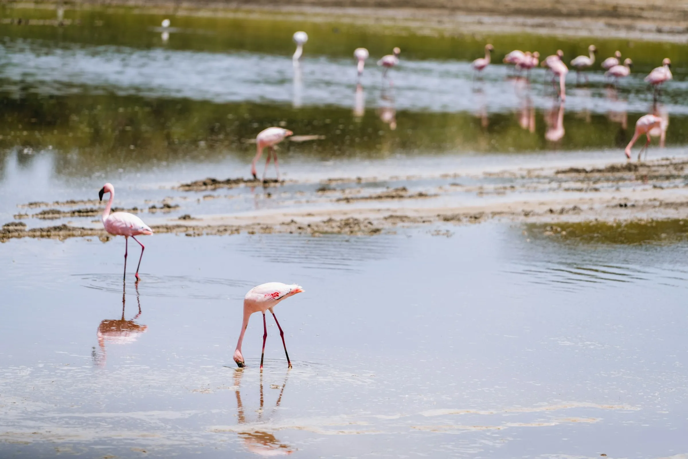 Lake Burunge – photo 7