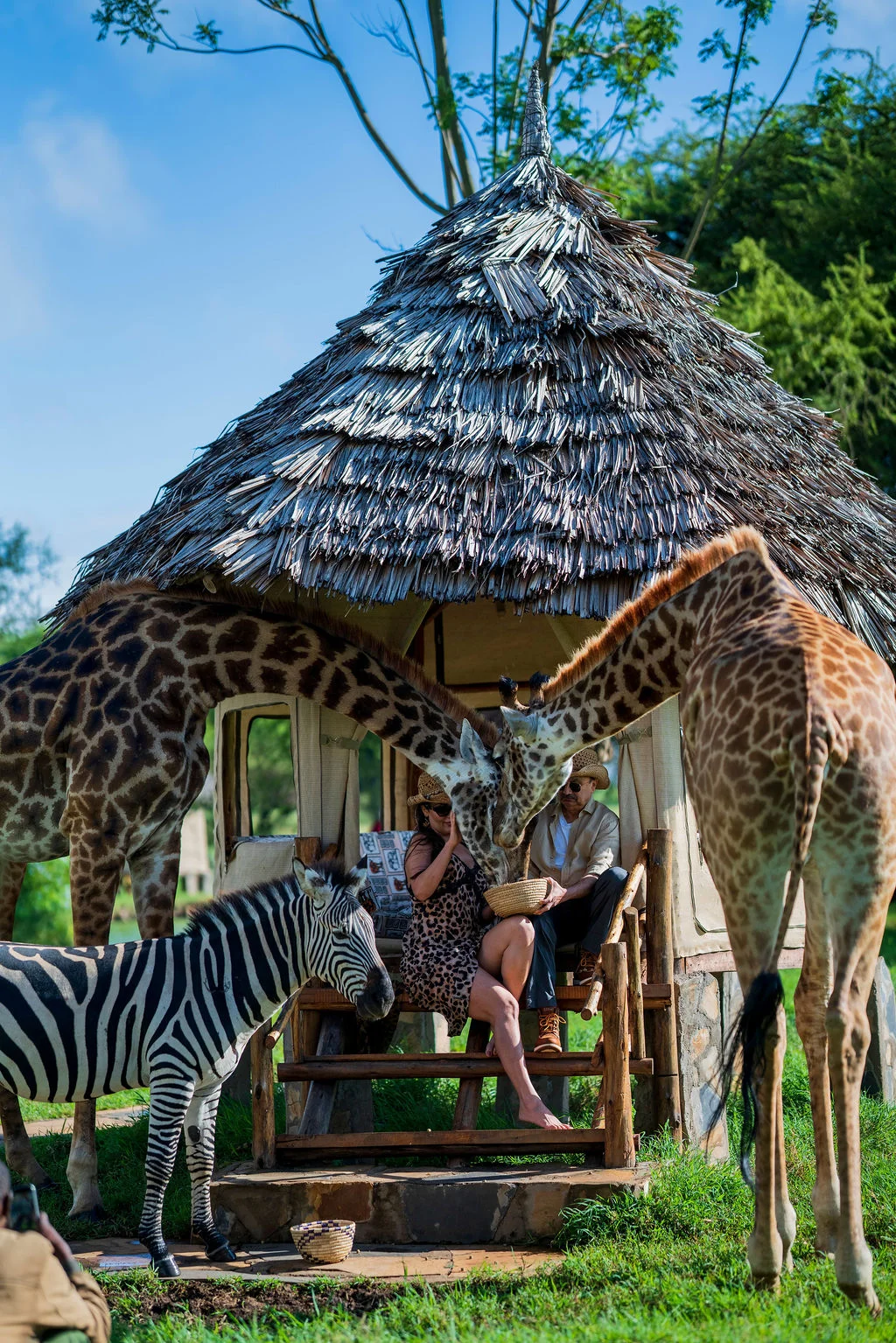 Serval Wildlife Sanctuary Tanzania