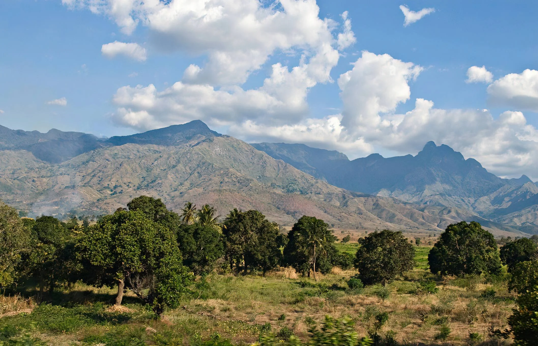 Uluguru Mountains – photo 32