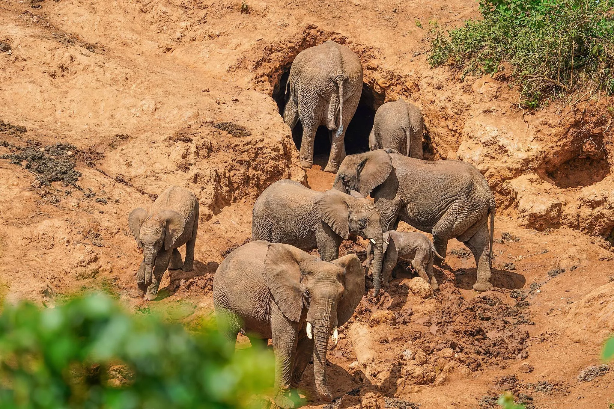 Ngorongoro Northern Highland Forest Reserve – photo 14