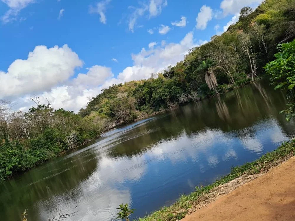 Pugu Kazimzumbwi Nature Forest Reserve – photo 12