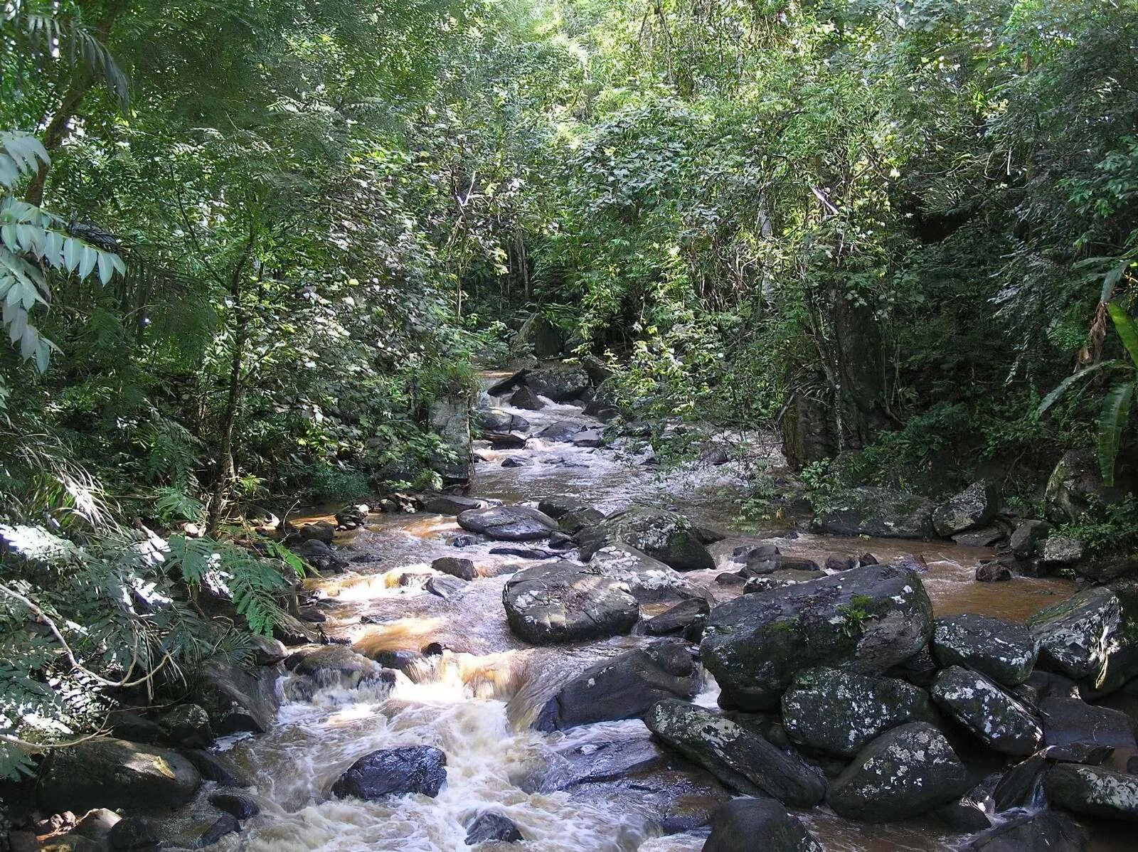 Amani Nature Forest Reserves – photo 15