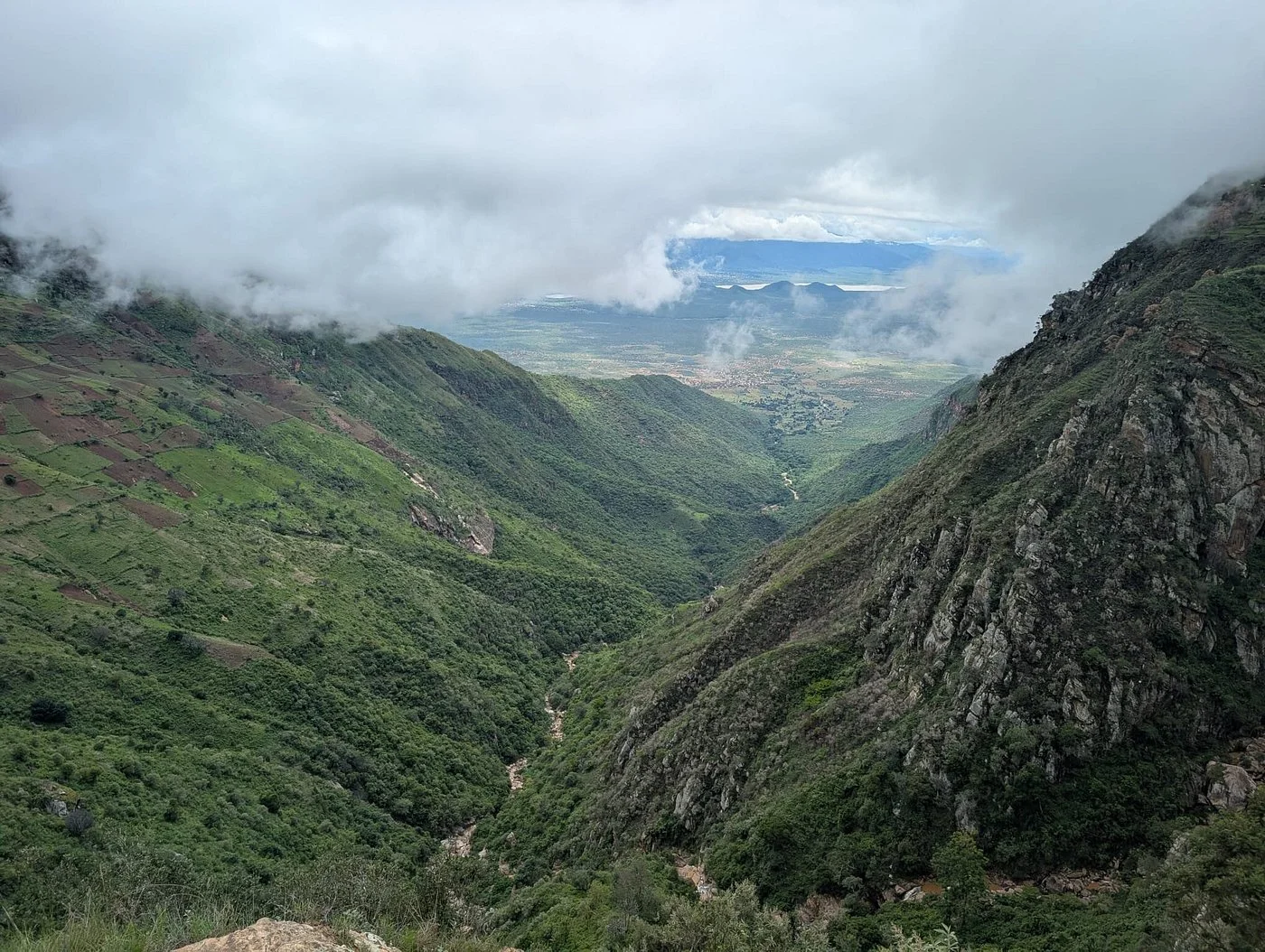 Usambara Mountains – photo 22