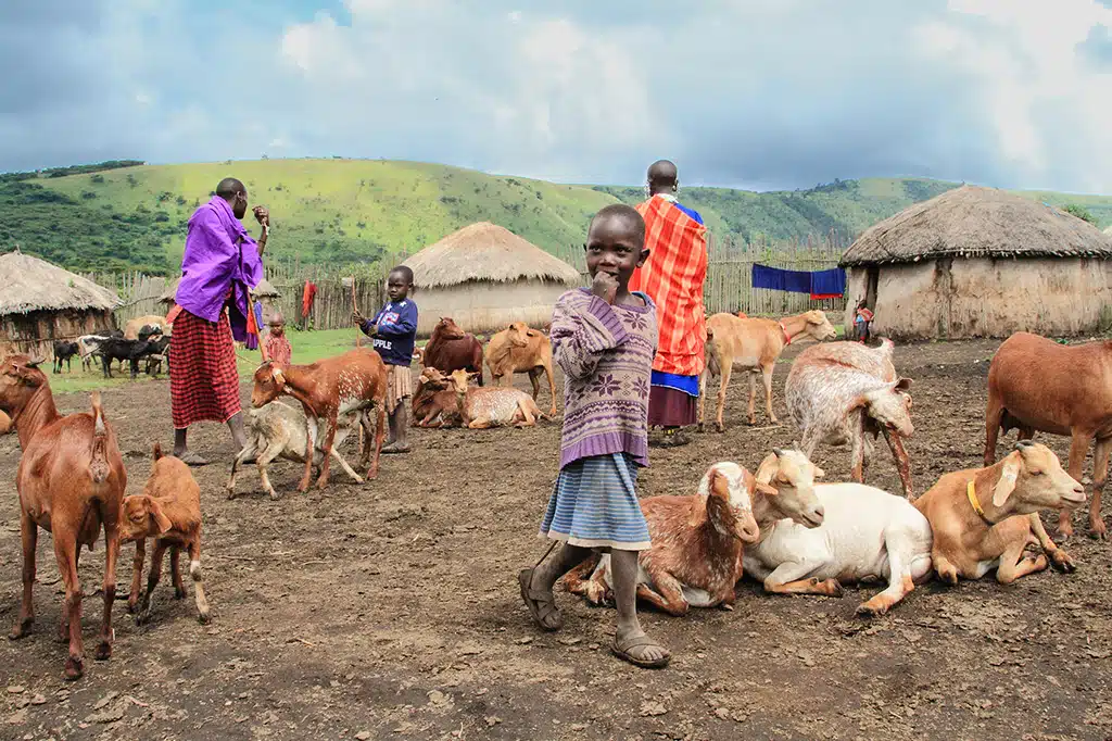 Karatu, Tanzania – photo 10