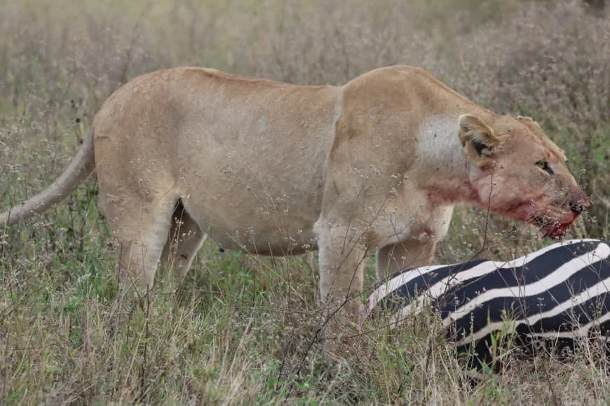 Serengeti National Park