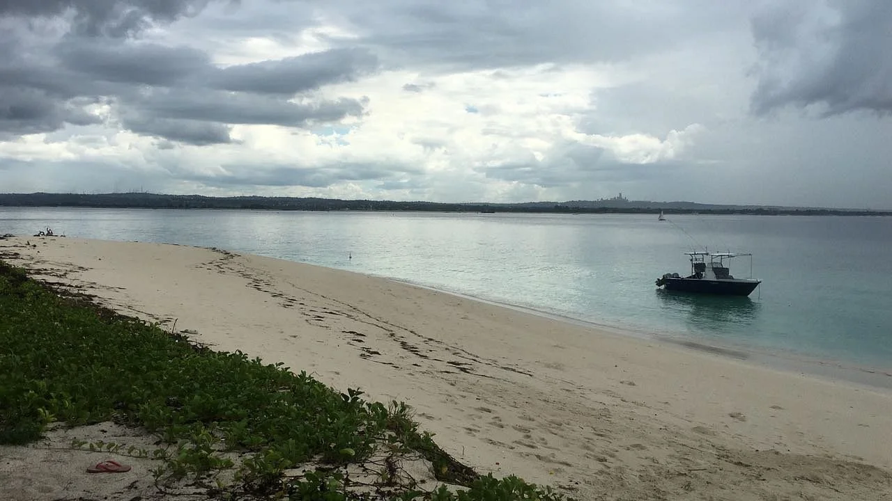 Mbudya Island Marine Reserve – photo 21