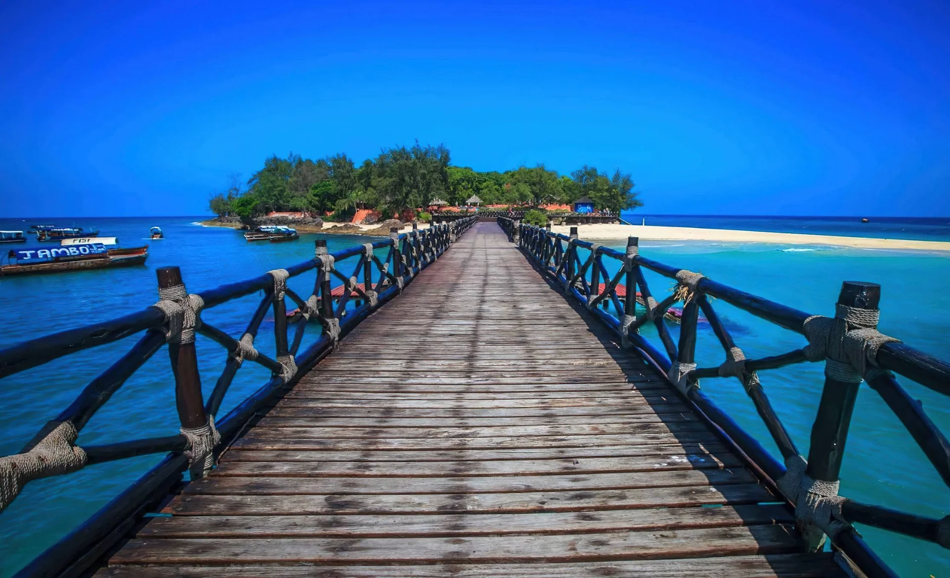 Prison Island (Changuu) – photo 4