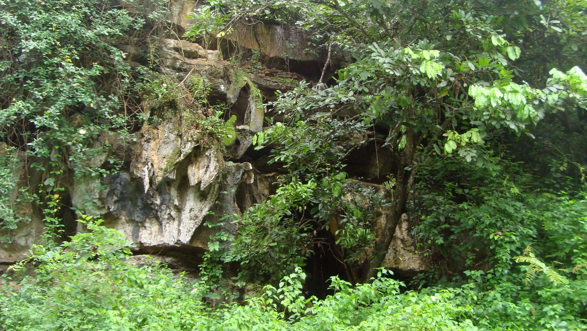 Amboni Caves – photo 27