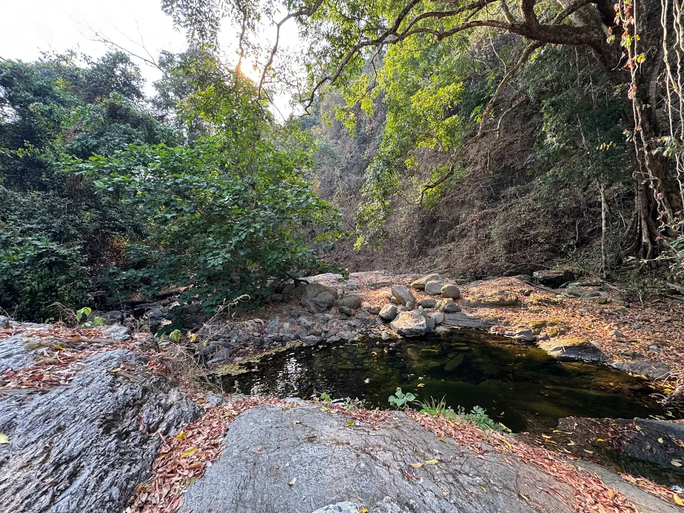 Mahale Mountains National Park – photo 11