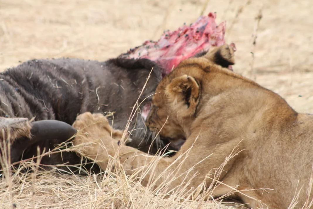 Serengeti National Park