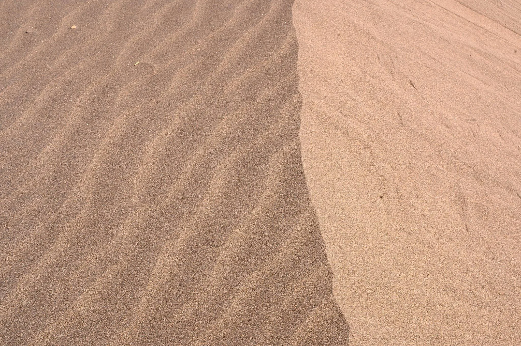 Shifting Sands – photo 18