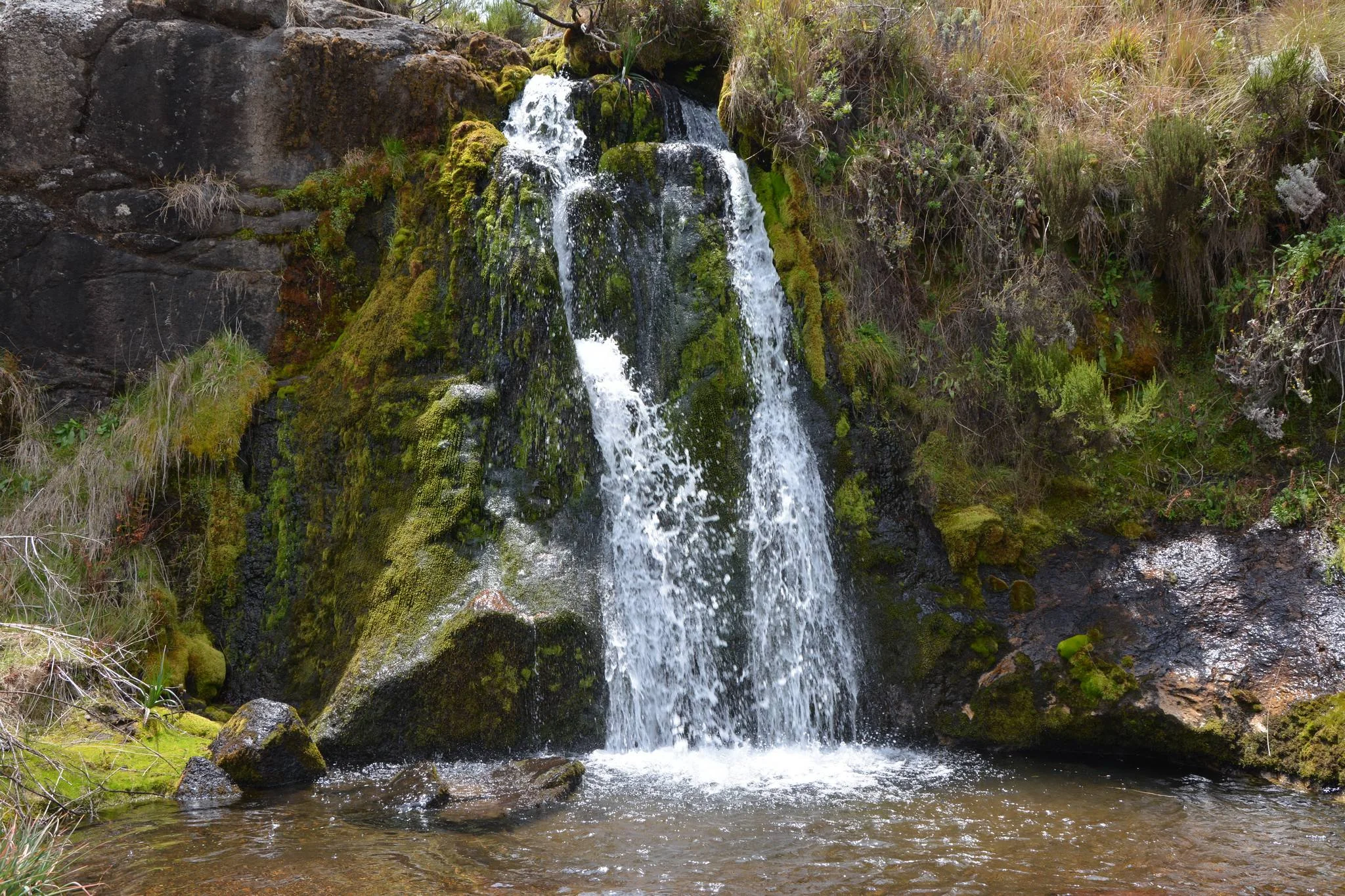 Kitulo National Park – photo 20