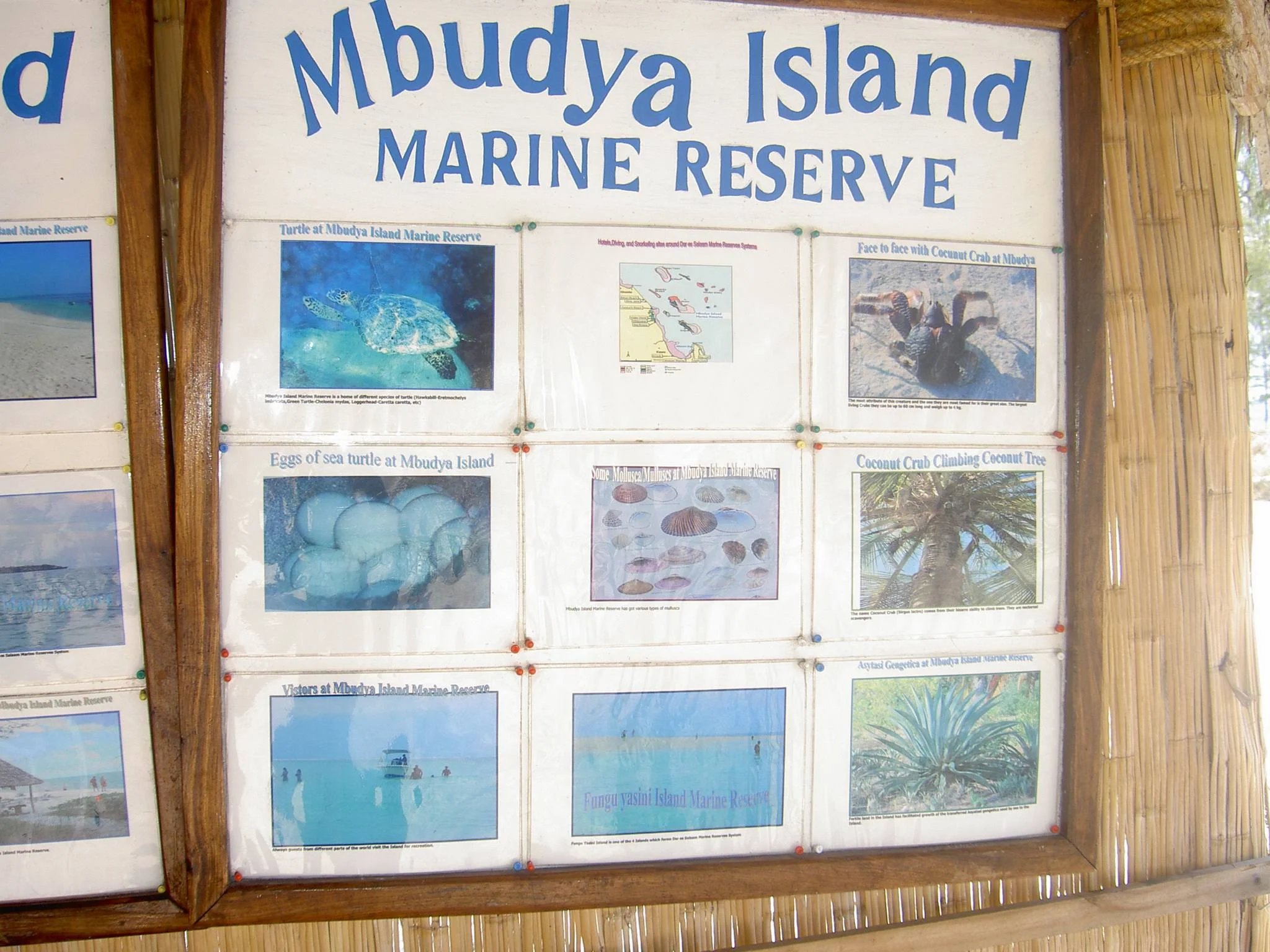 Mbudya Island Marine Reserve – photo 14