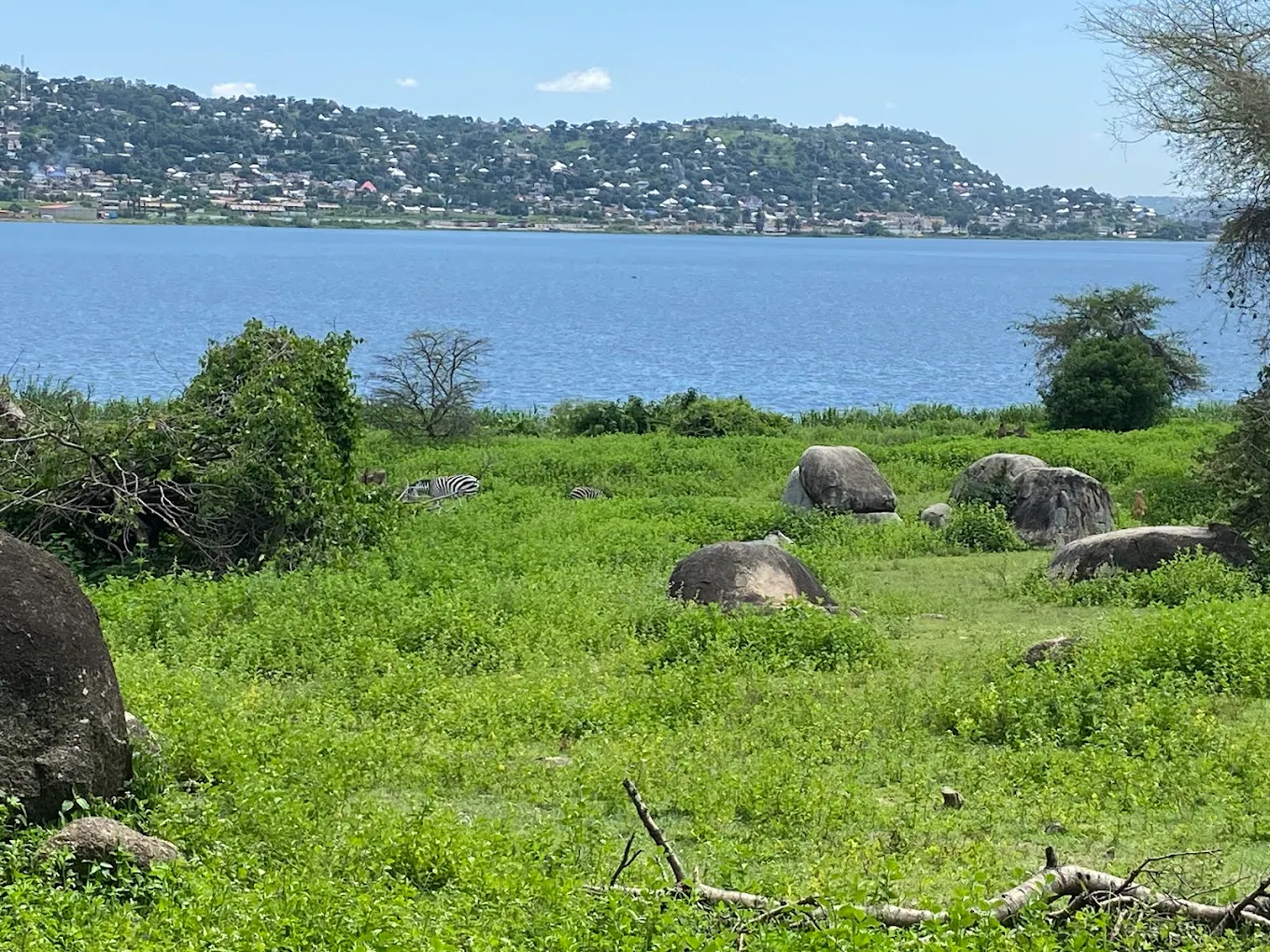 Saanane Island National Park – photo 12