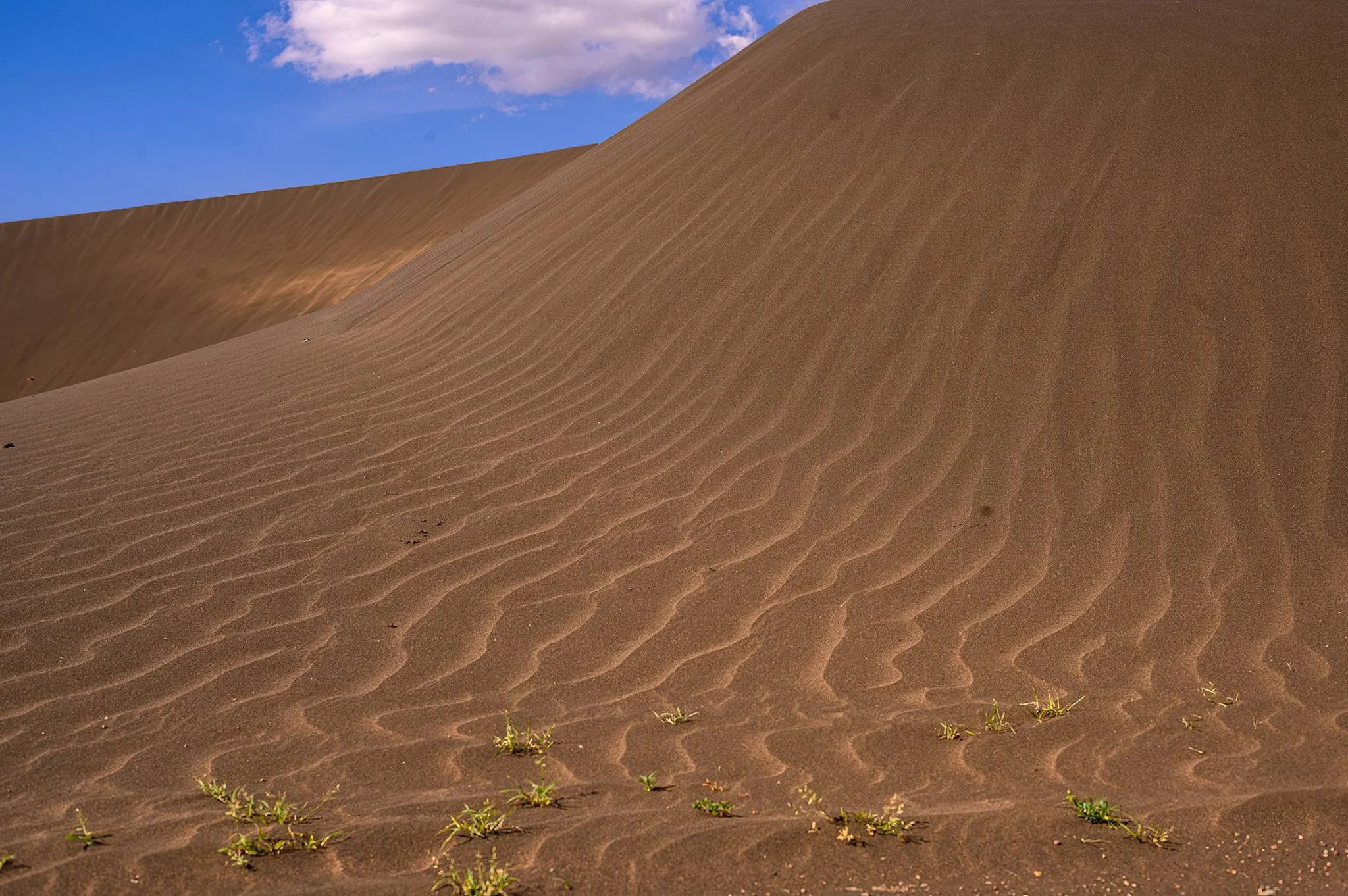Shifting Sands – photo 9
