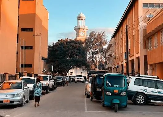 Dodoma – photo 2