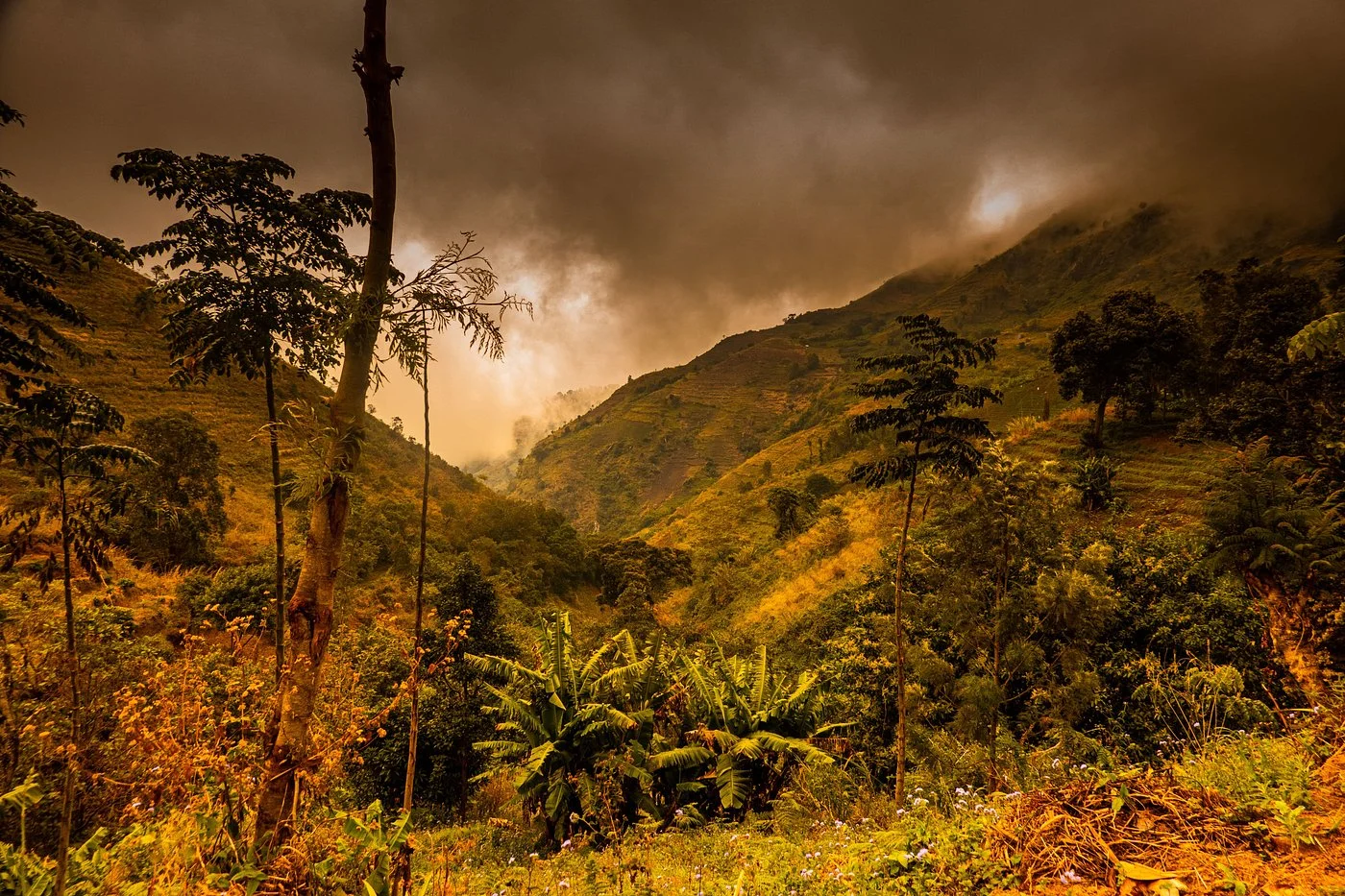 Uluguru Mountains – photo 15