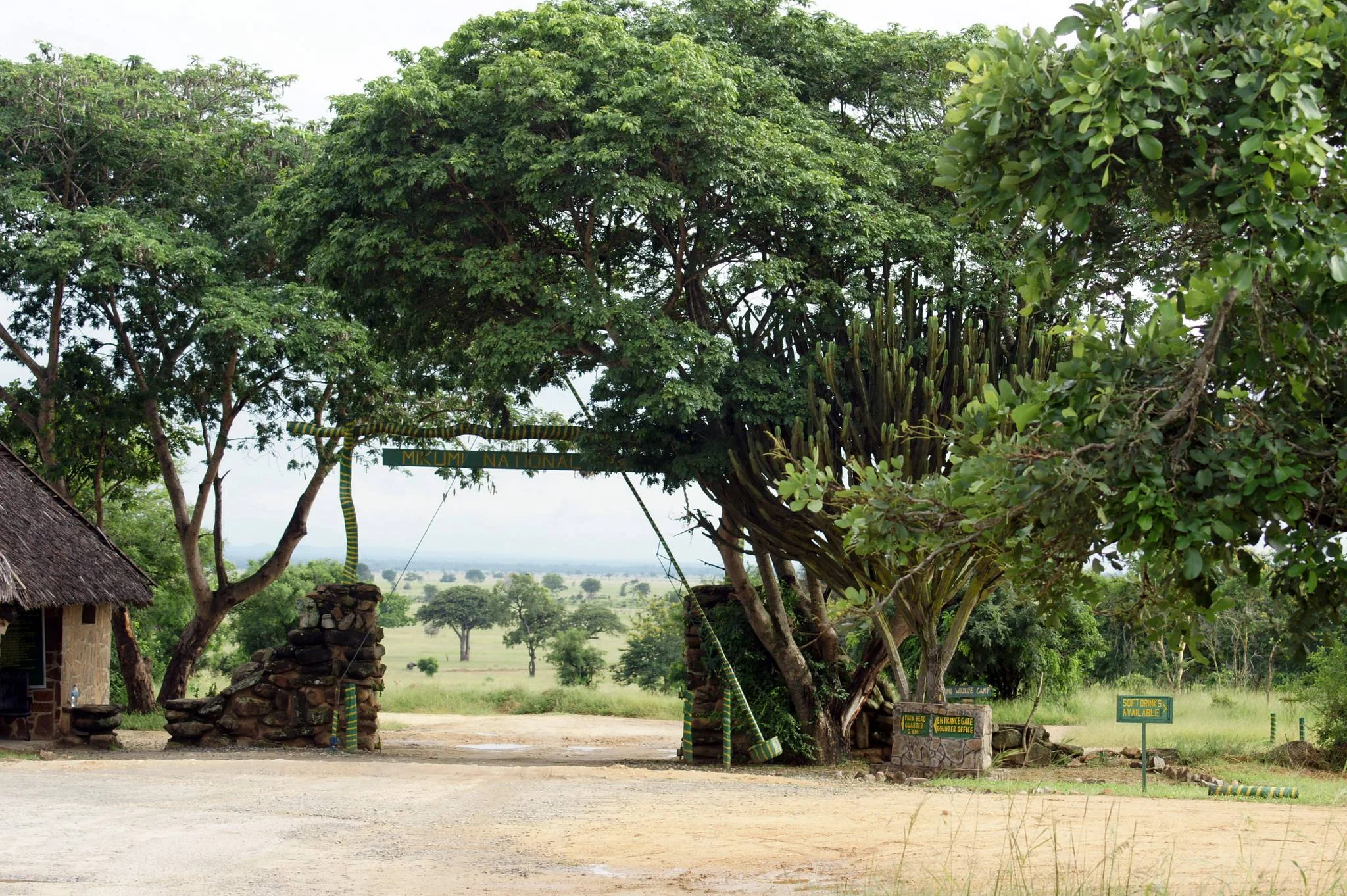 Mikumi National Park