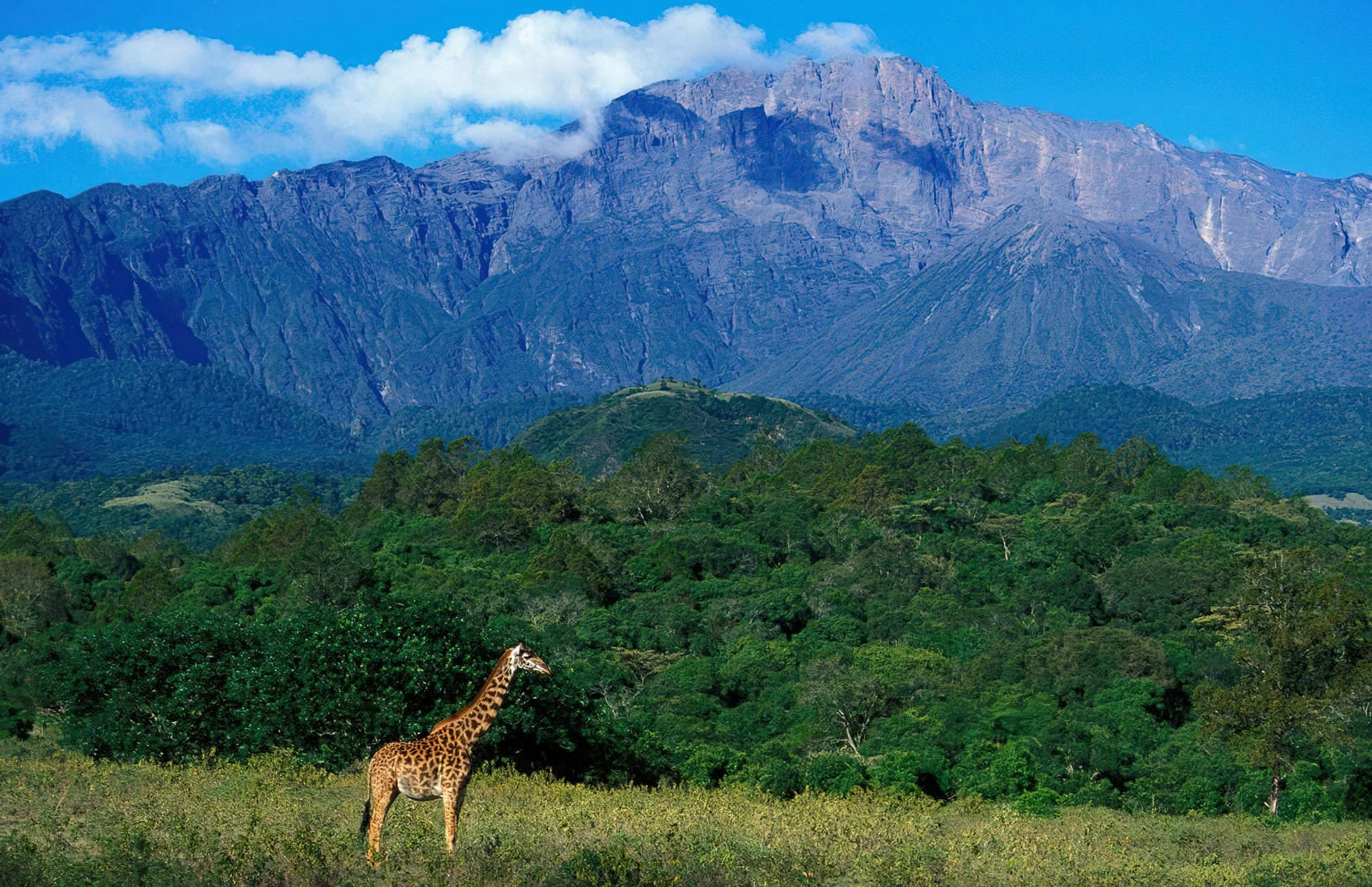 Mount Meru – photo 9