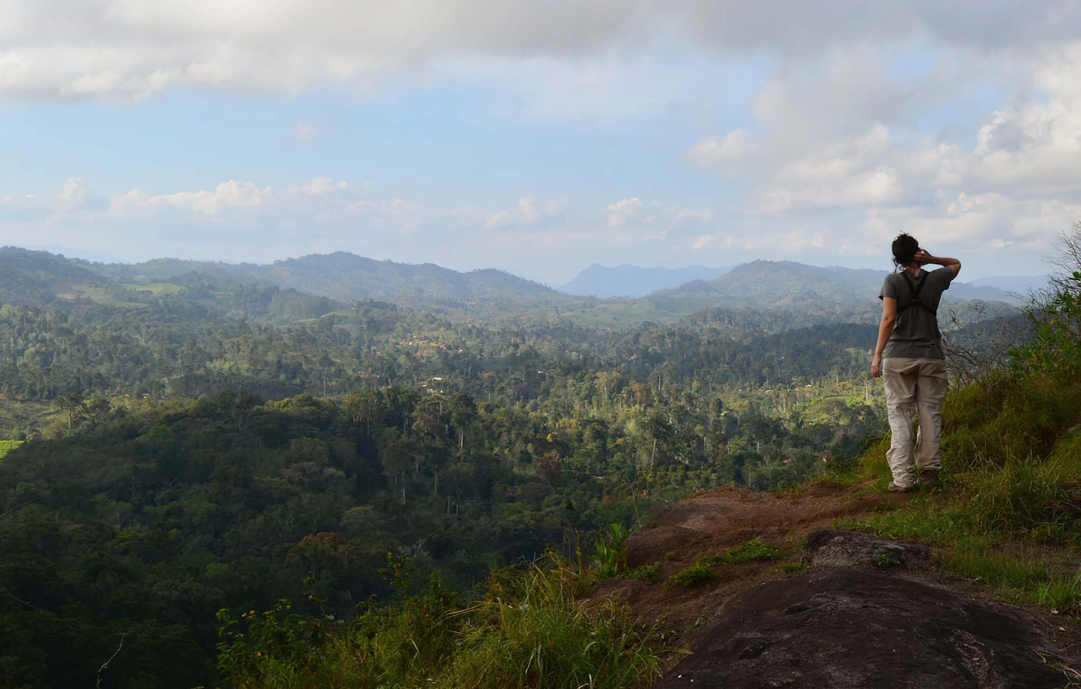 Amani Nature Forest Reserves – photo 12