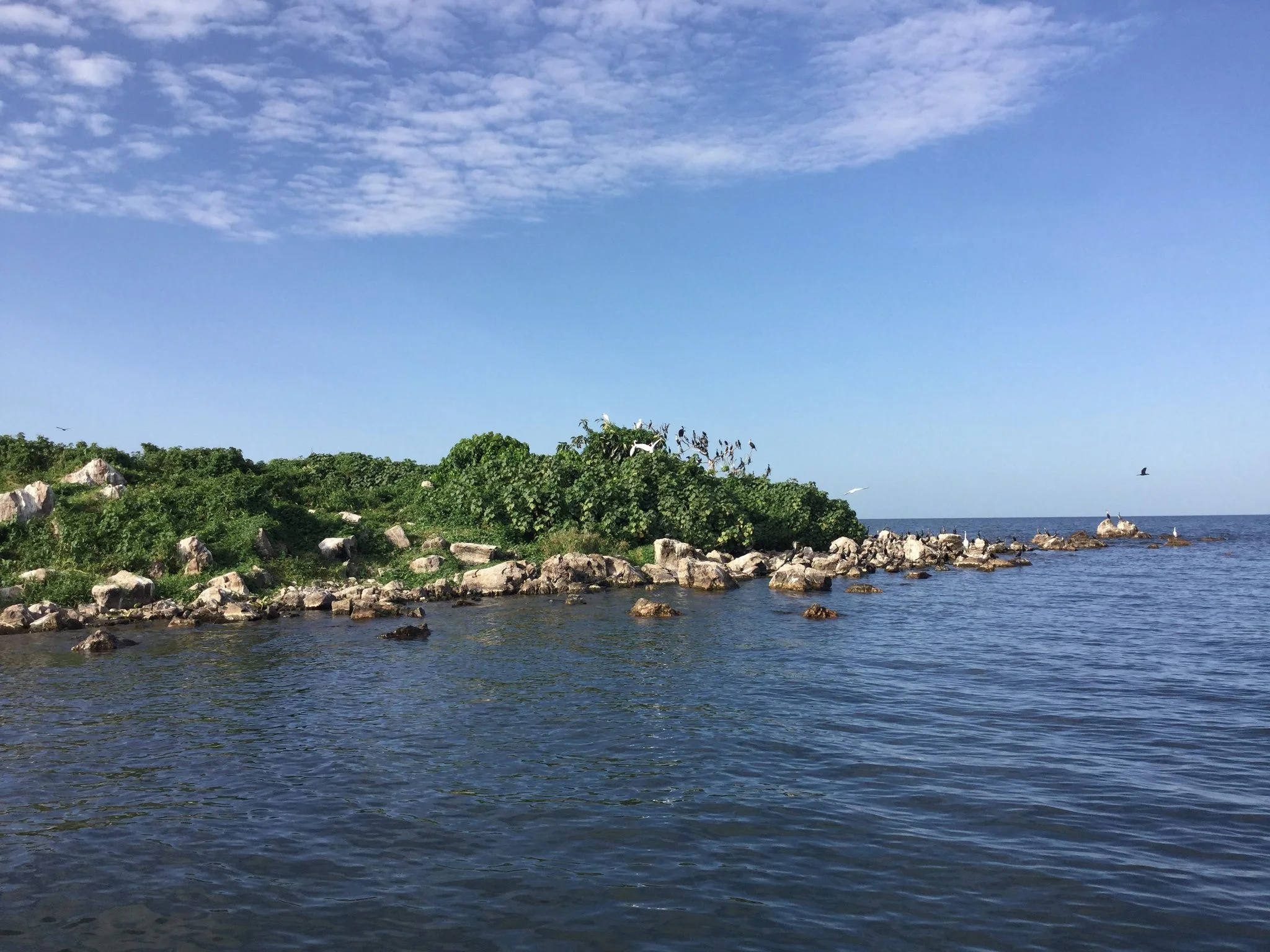 Mahale Mountains National Park – photo 17