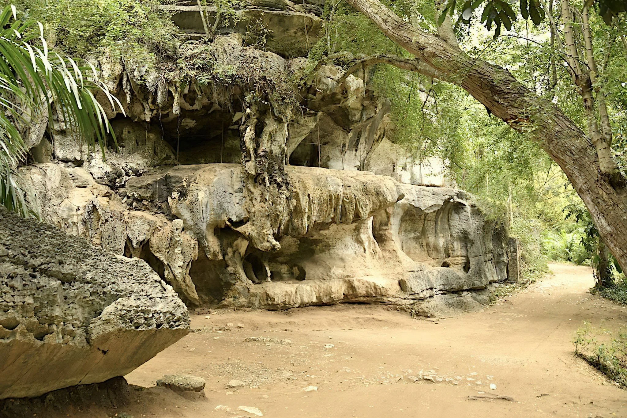 Amboni Caves – photo 40