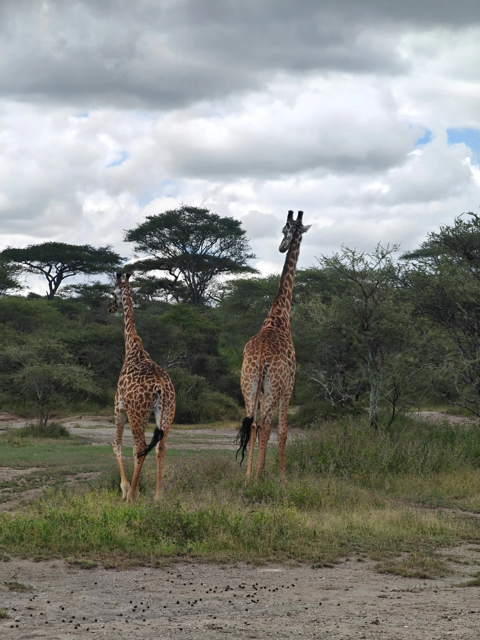 Serengeti National Park