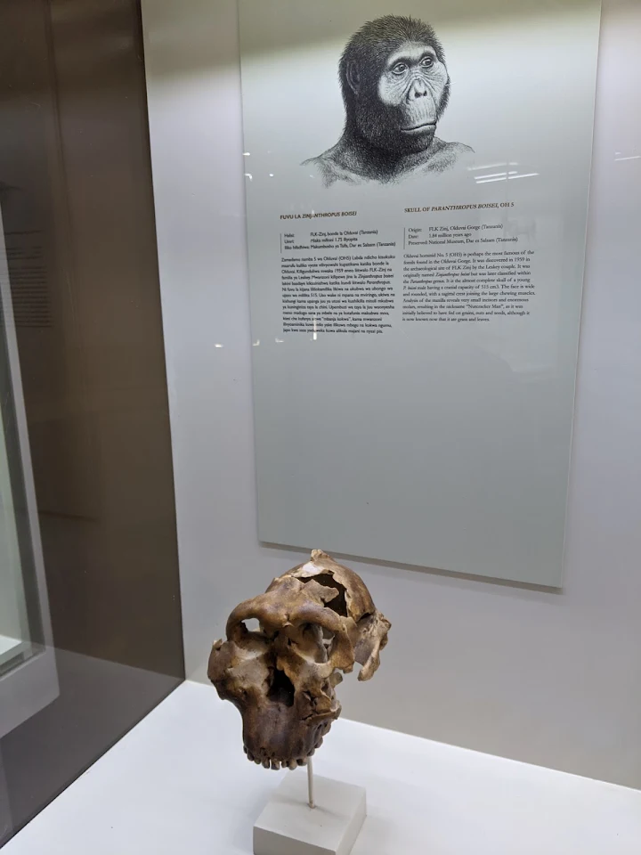 Olduvai Gorge
