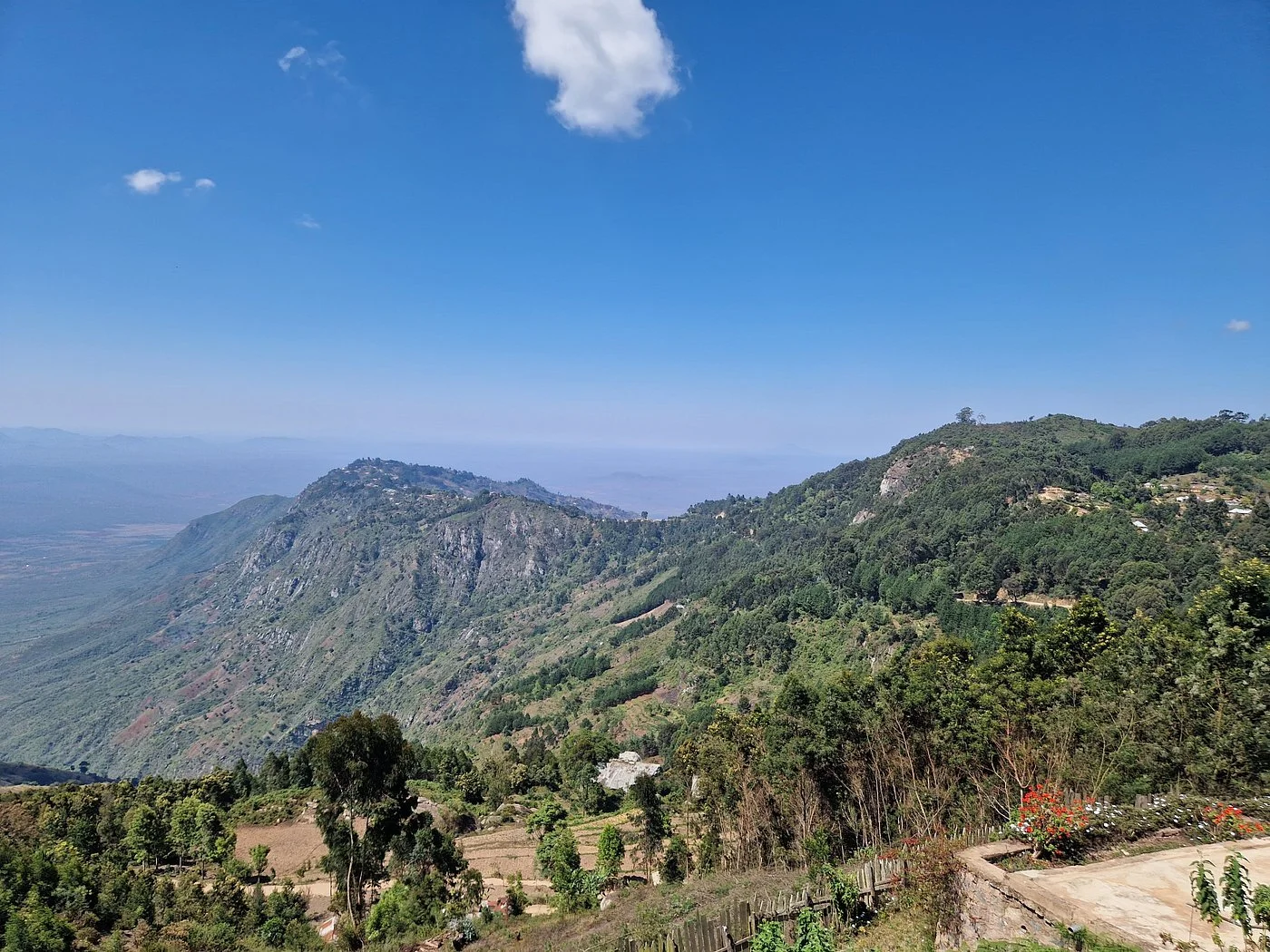 Usambara Mountains – photo 19